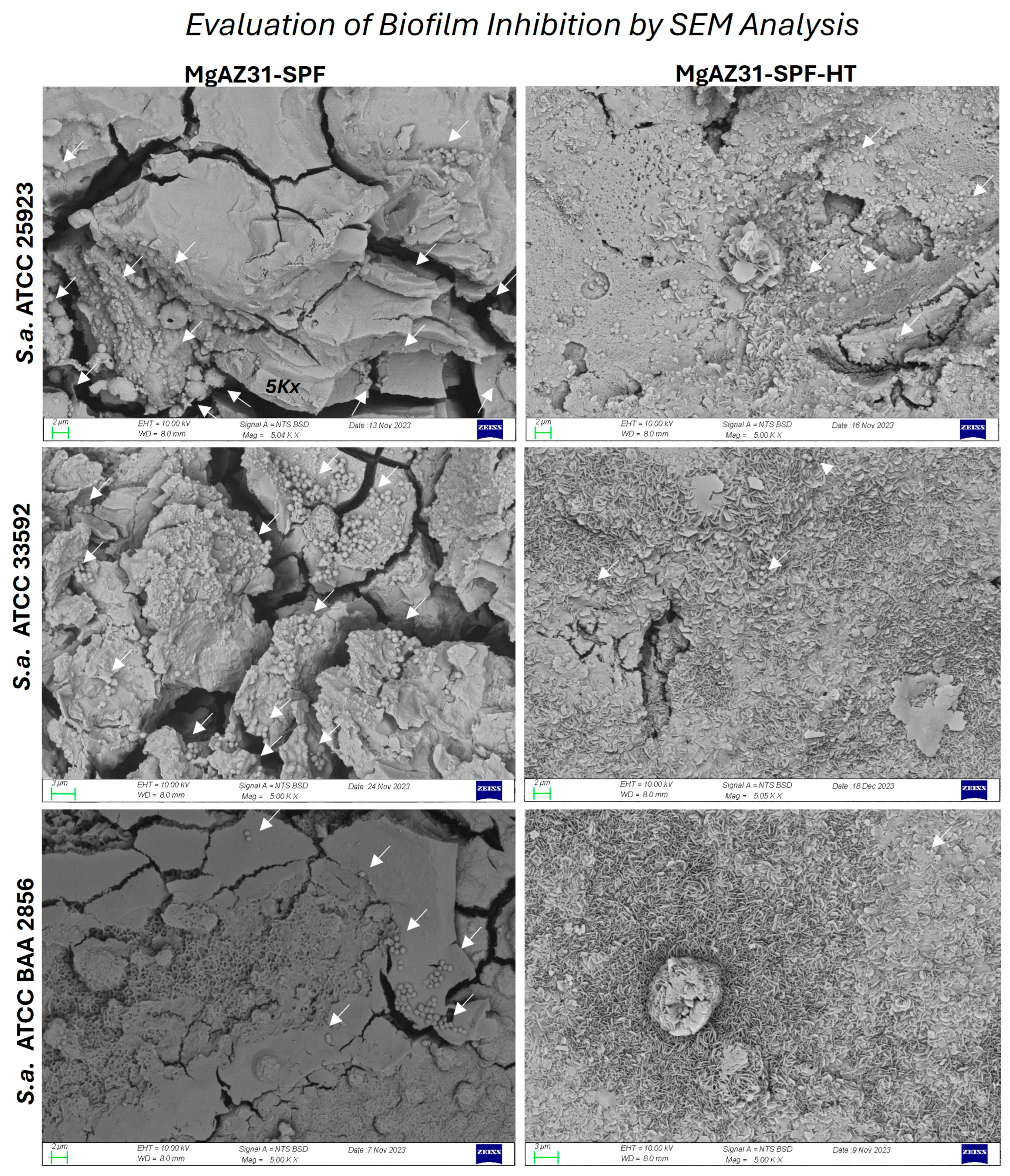 Metals 15 01328 g007 Metals 15 01328 g007