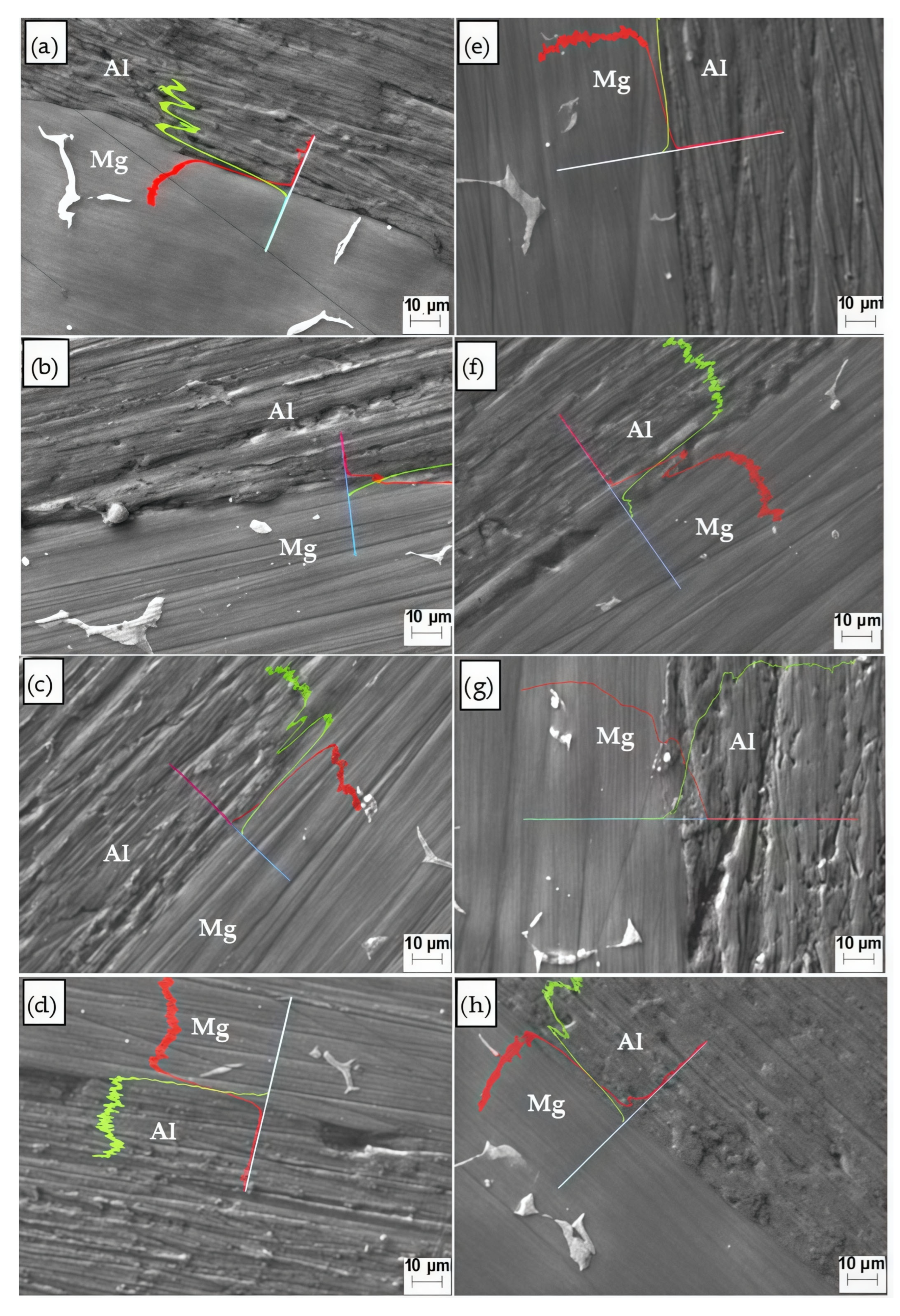 Metals 15 01331 g004