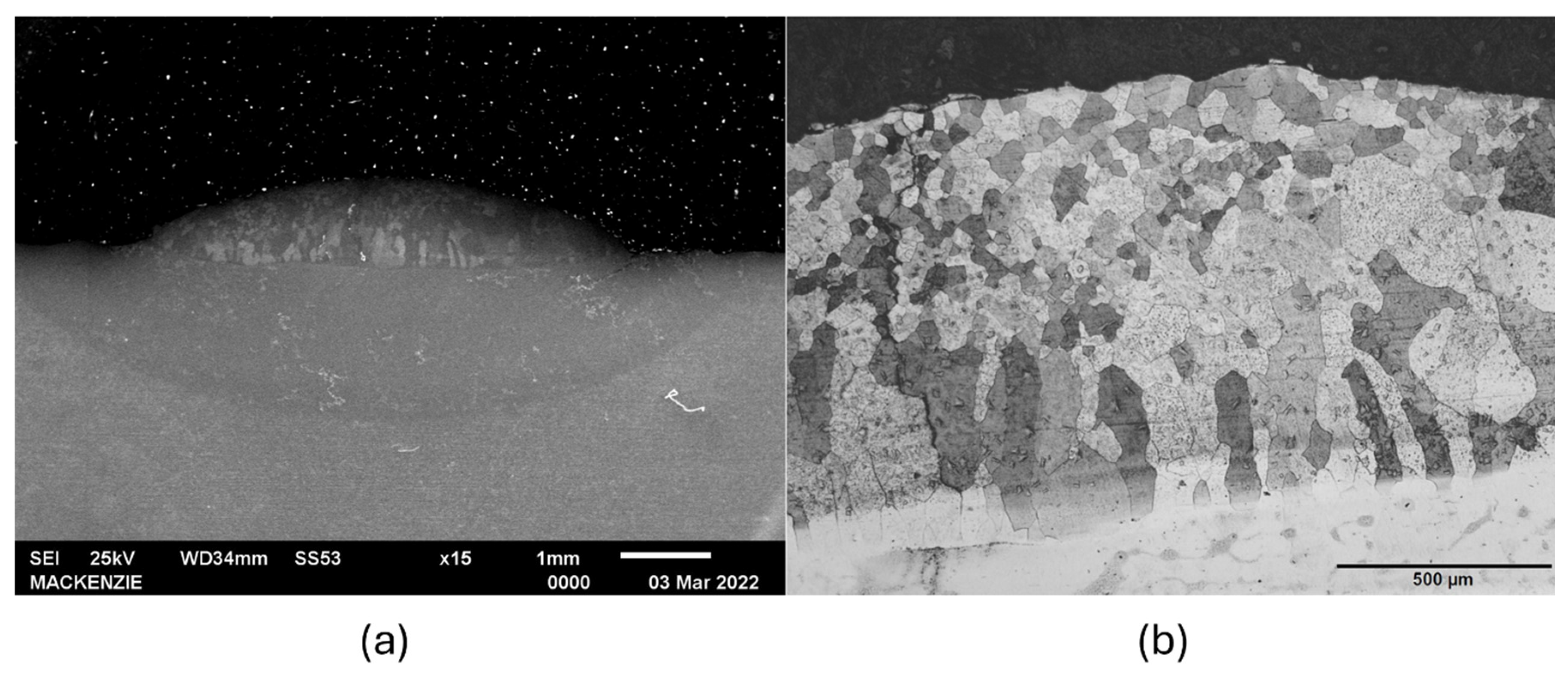 Metals 15 01337 g007