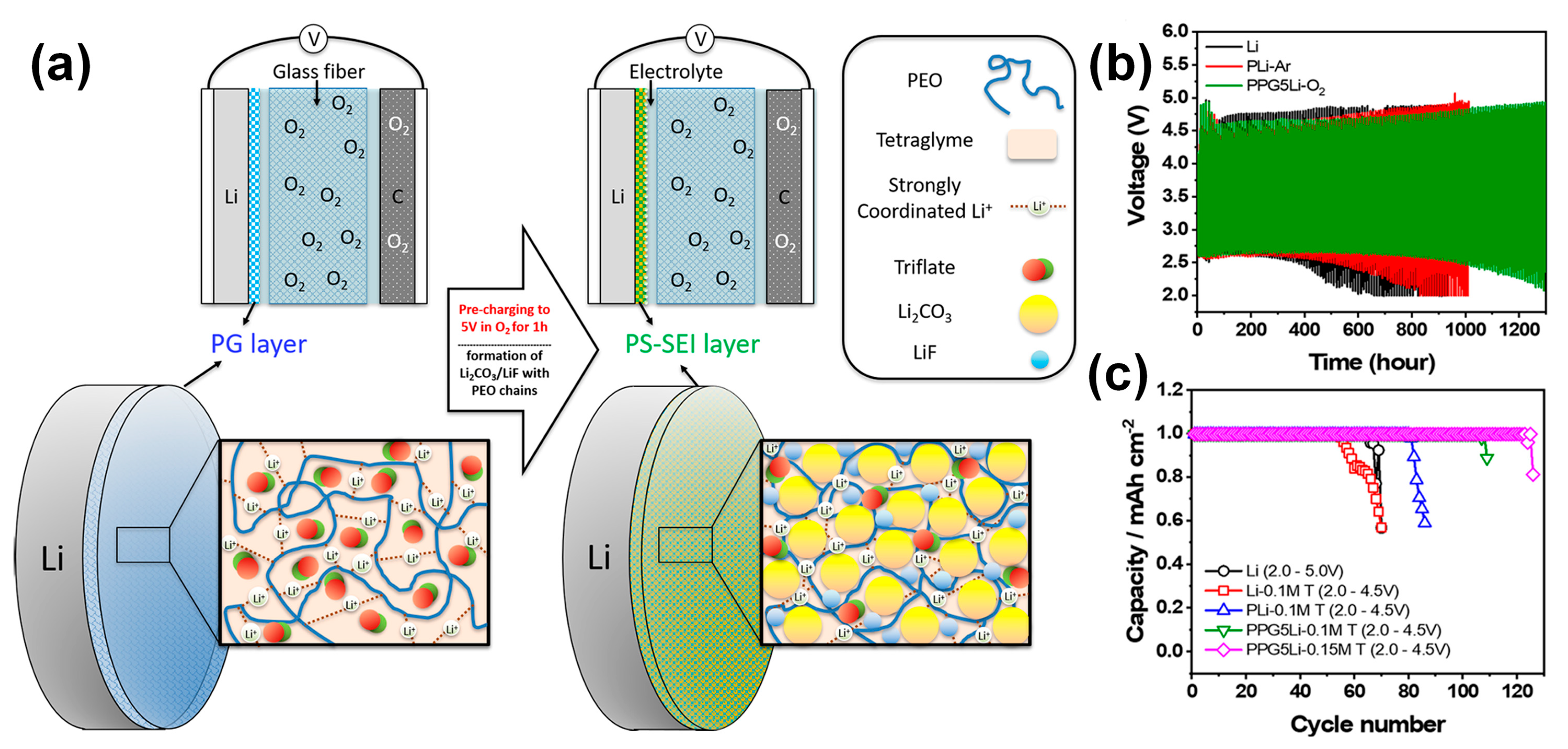 Metals 15 01373 g002 Metals 15 01373 g002
