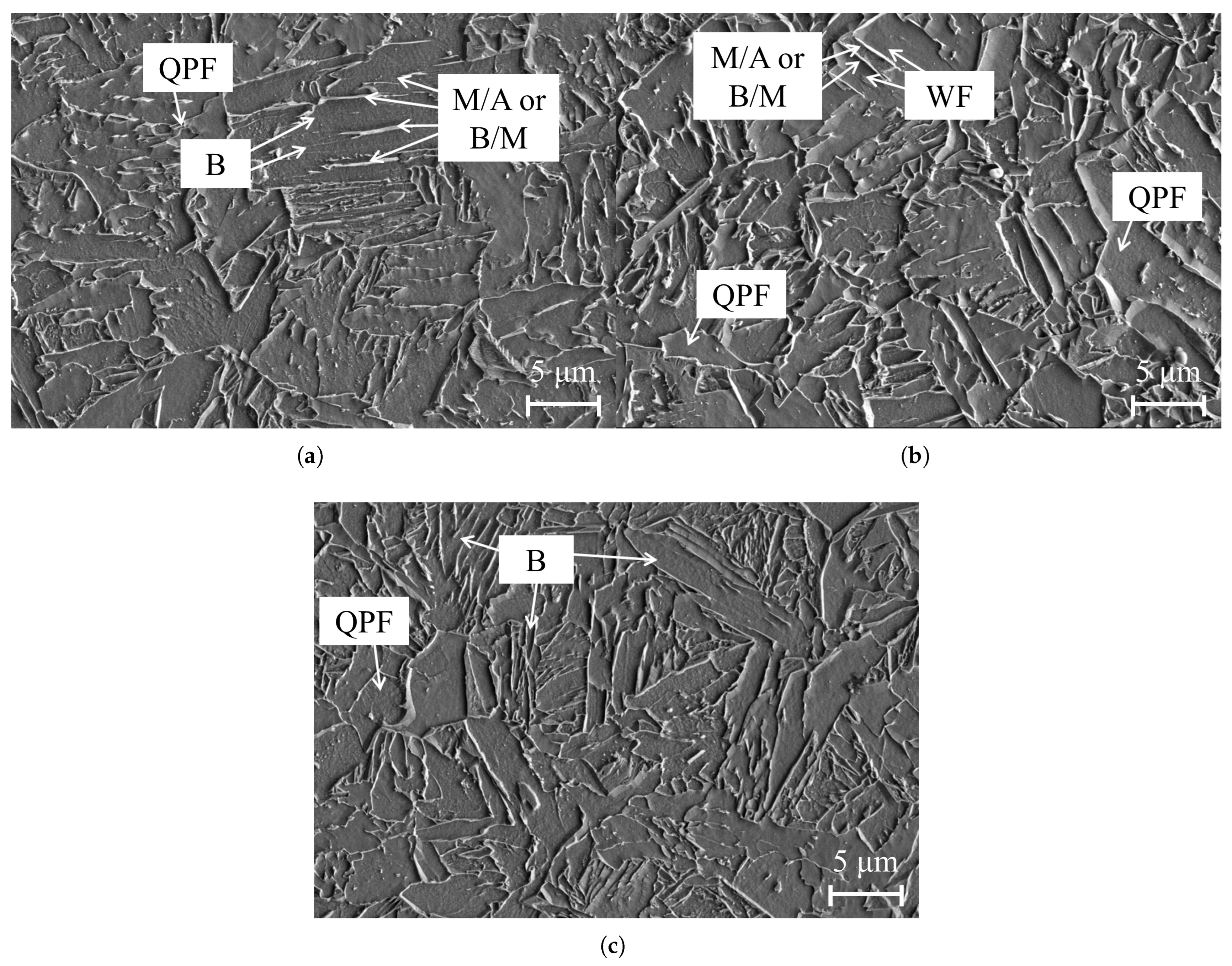 Metals 15 01379 g008 Metals 15 01379 g008