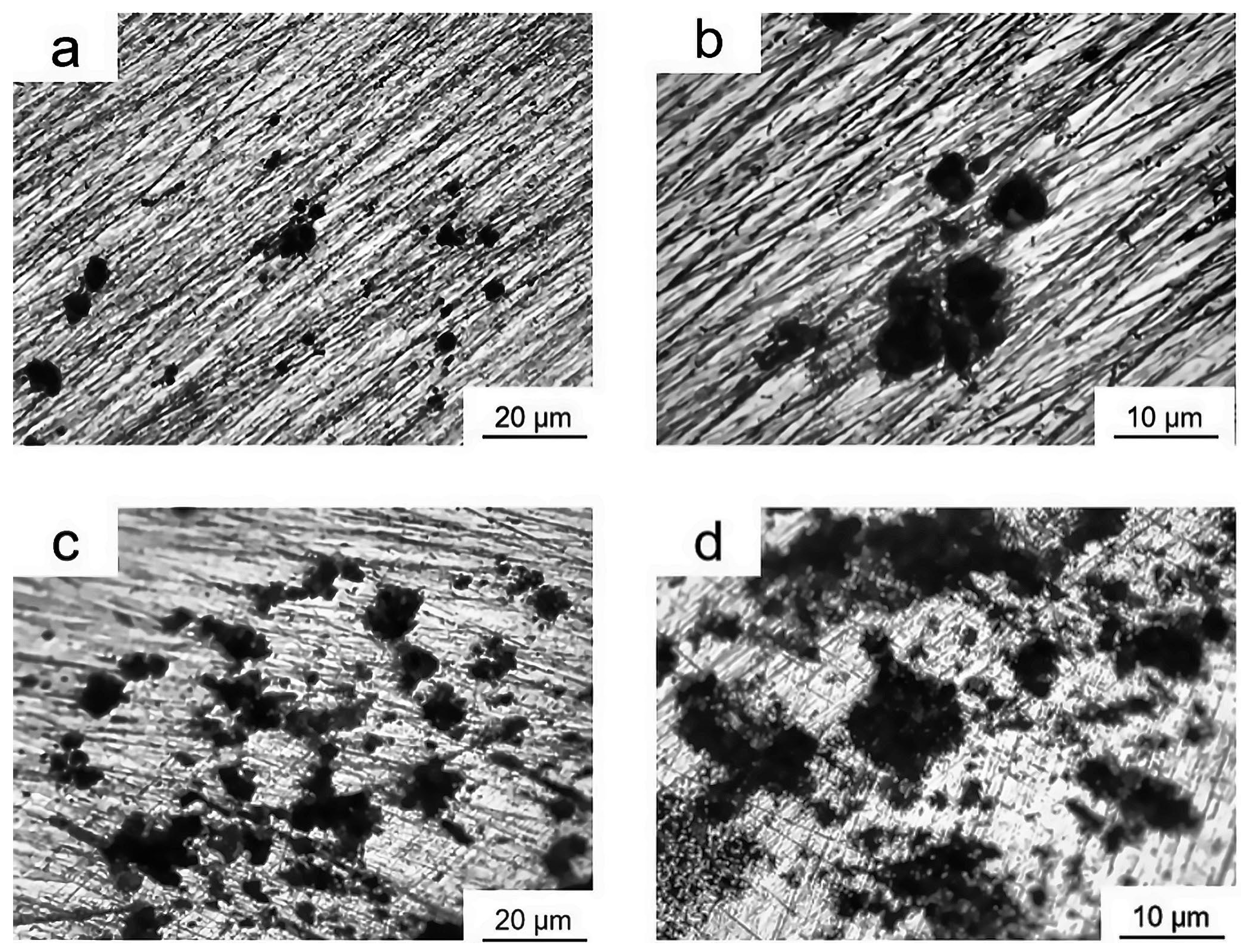 Metals 16 00047 g004