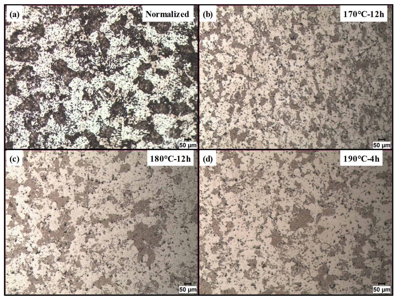 Metals 16 00088 g005