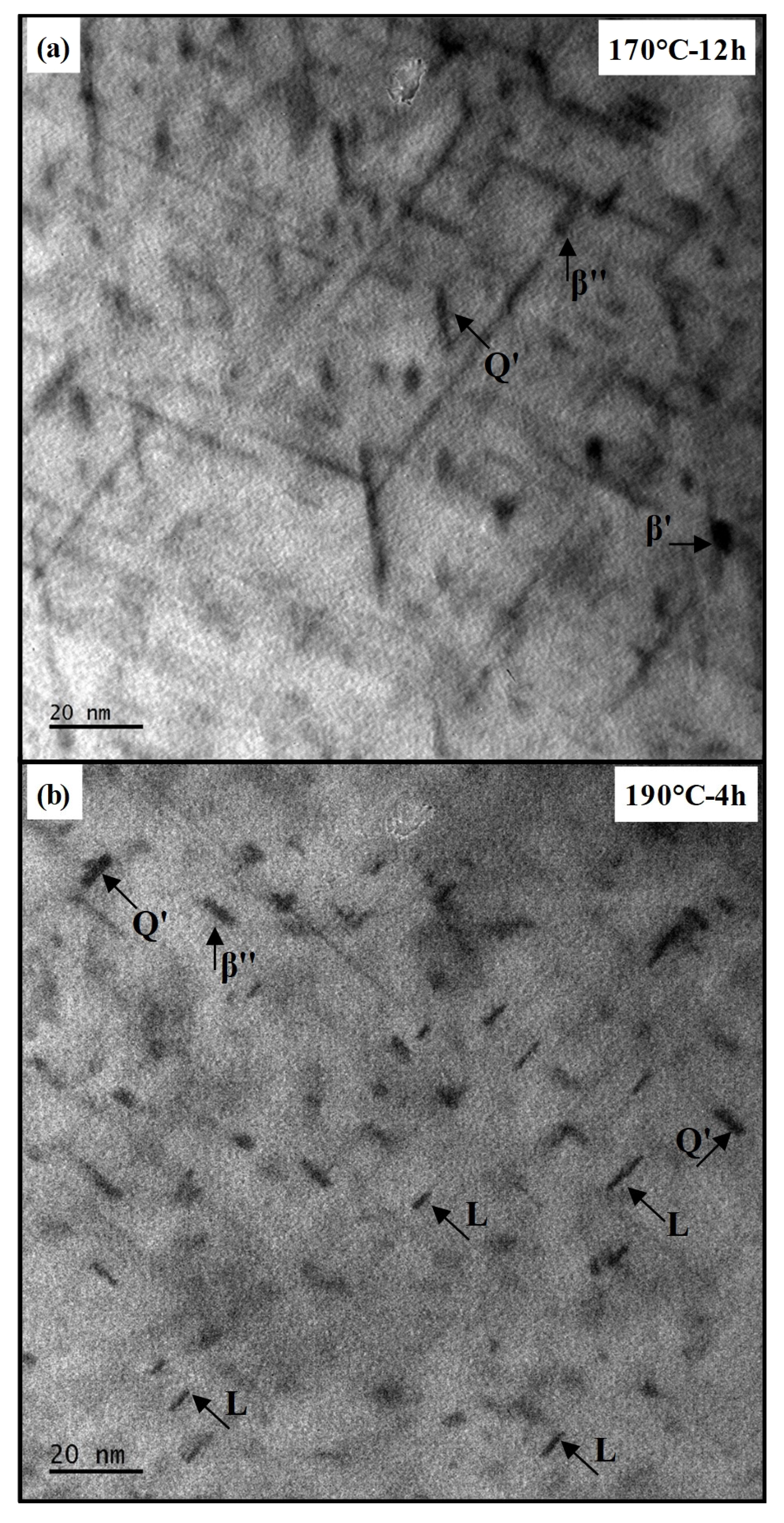 Metals 16 00088 g007