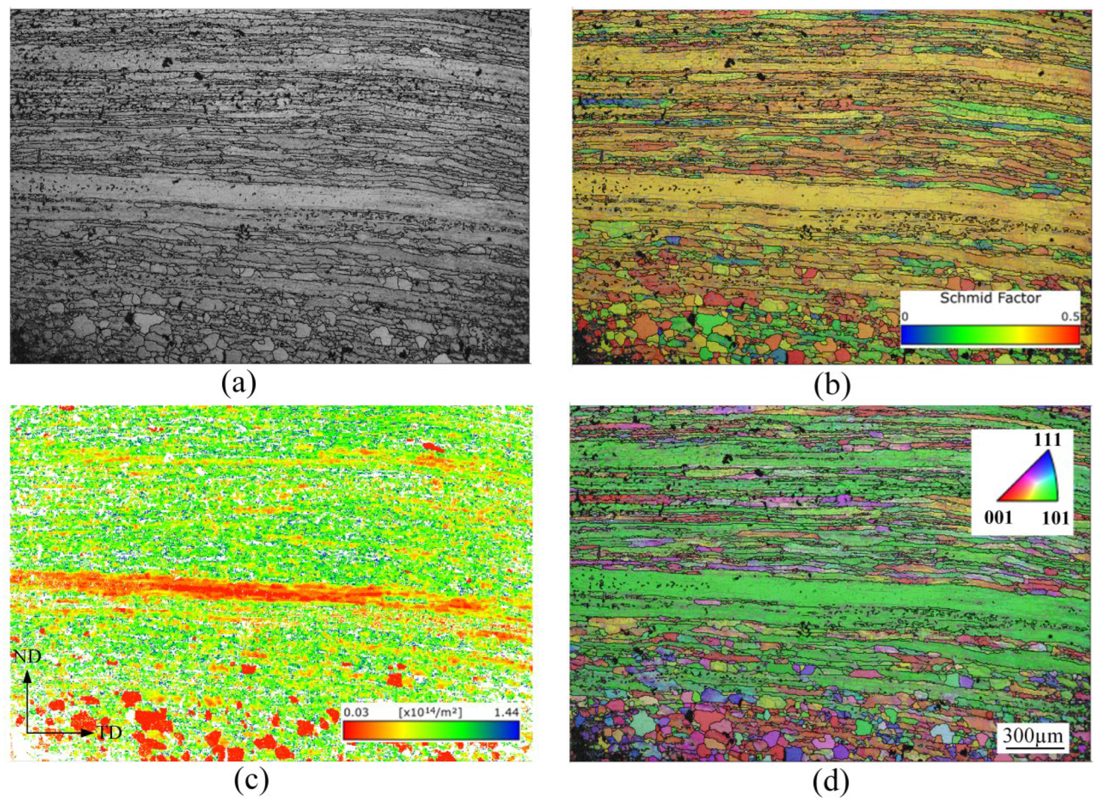 Metals 16 00096 g004