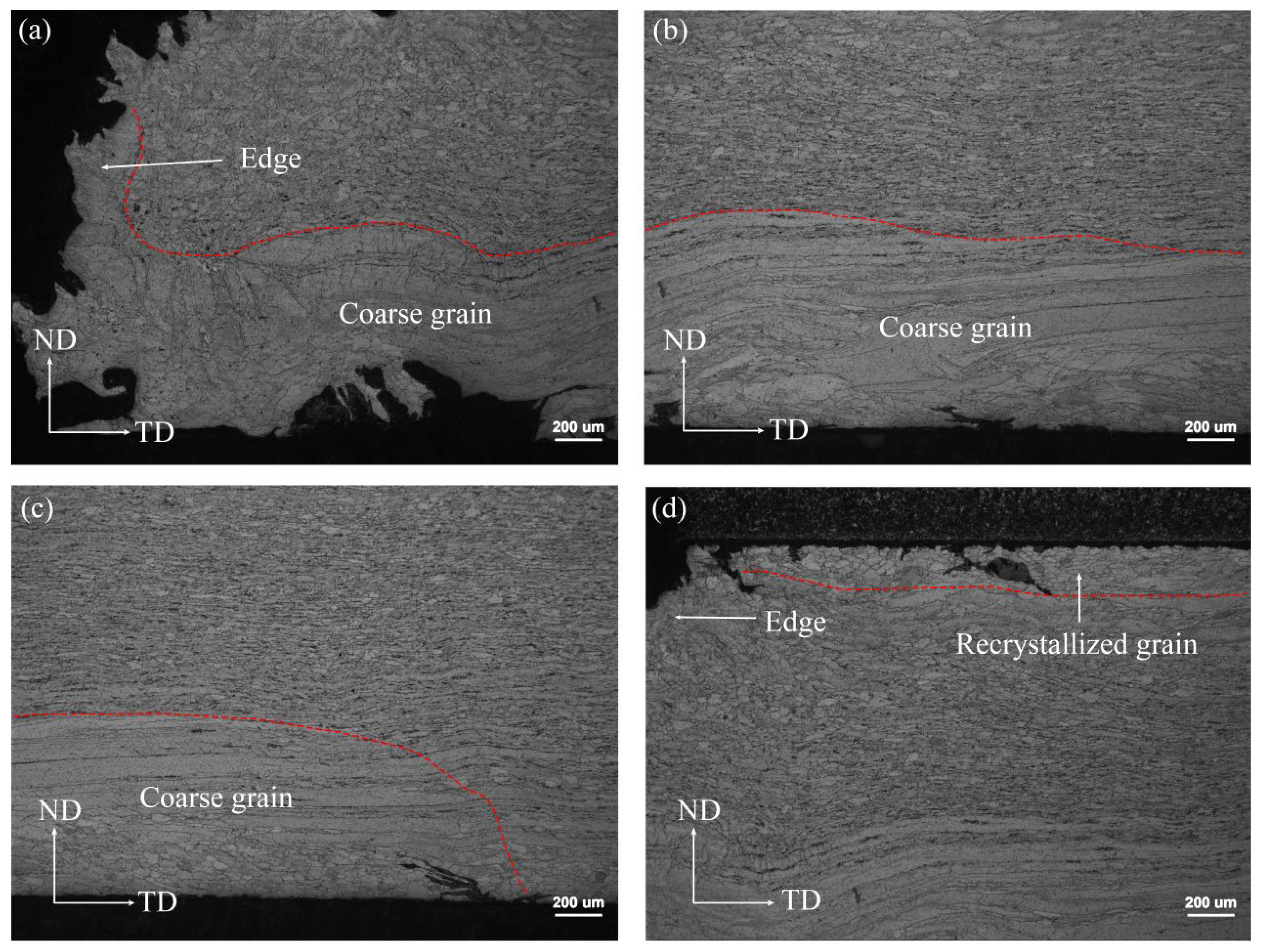 Metals 16 00096 g010