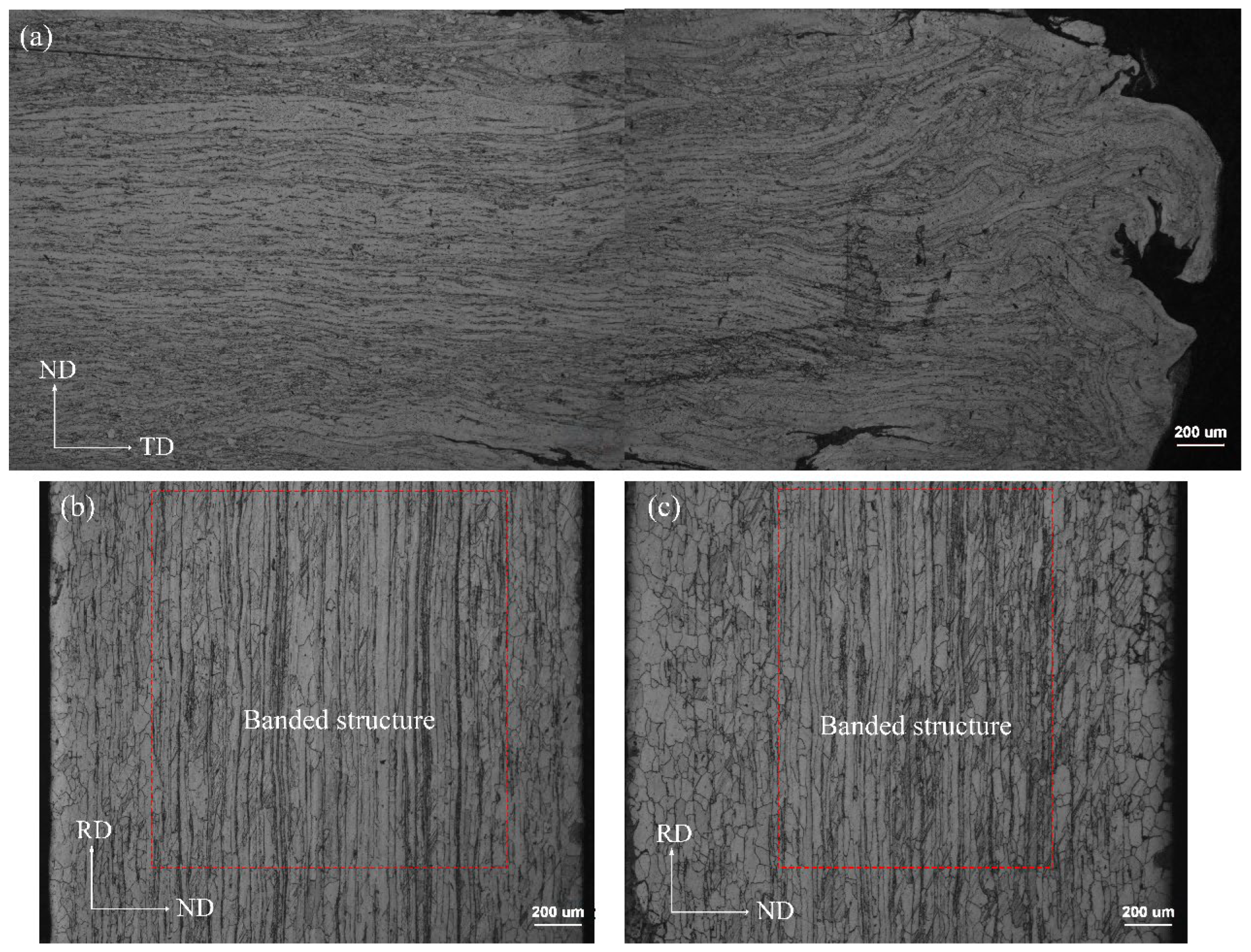 Metals 16 00096 g011