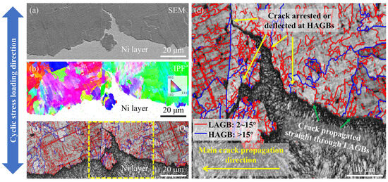 Effect of Nb on the Microstructure and High-Cycle Fatigue