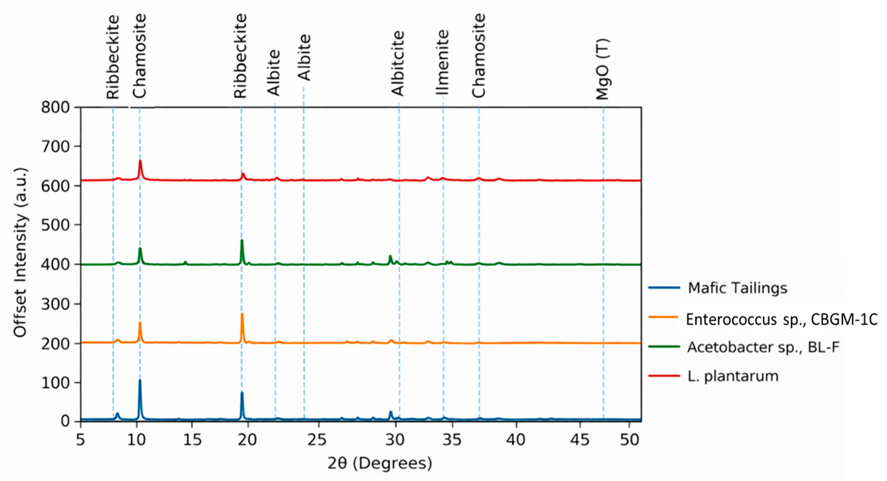 Metals 16 00178 g005
