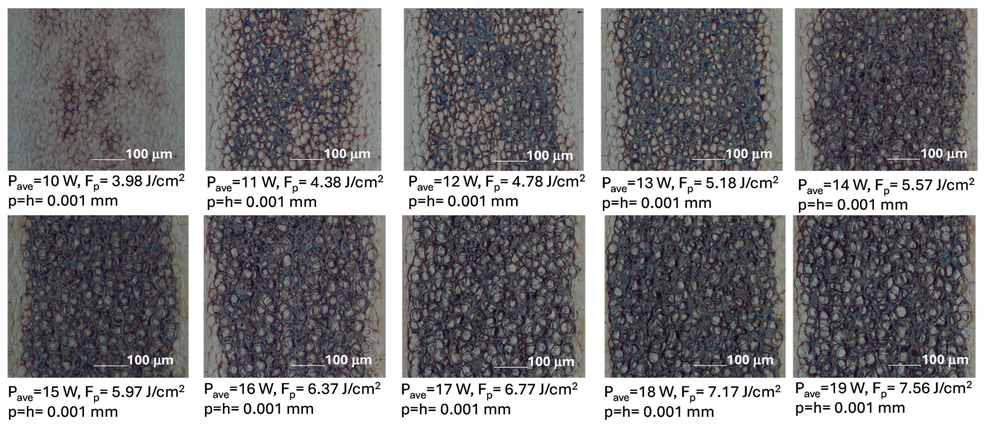 Metals 16 00224 g005