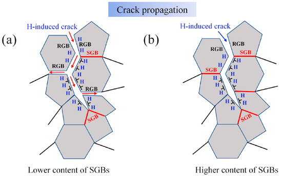 Addressing the Hydrogen Embrittlement Challenge in Future Hydrogen