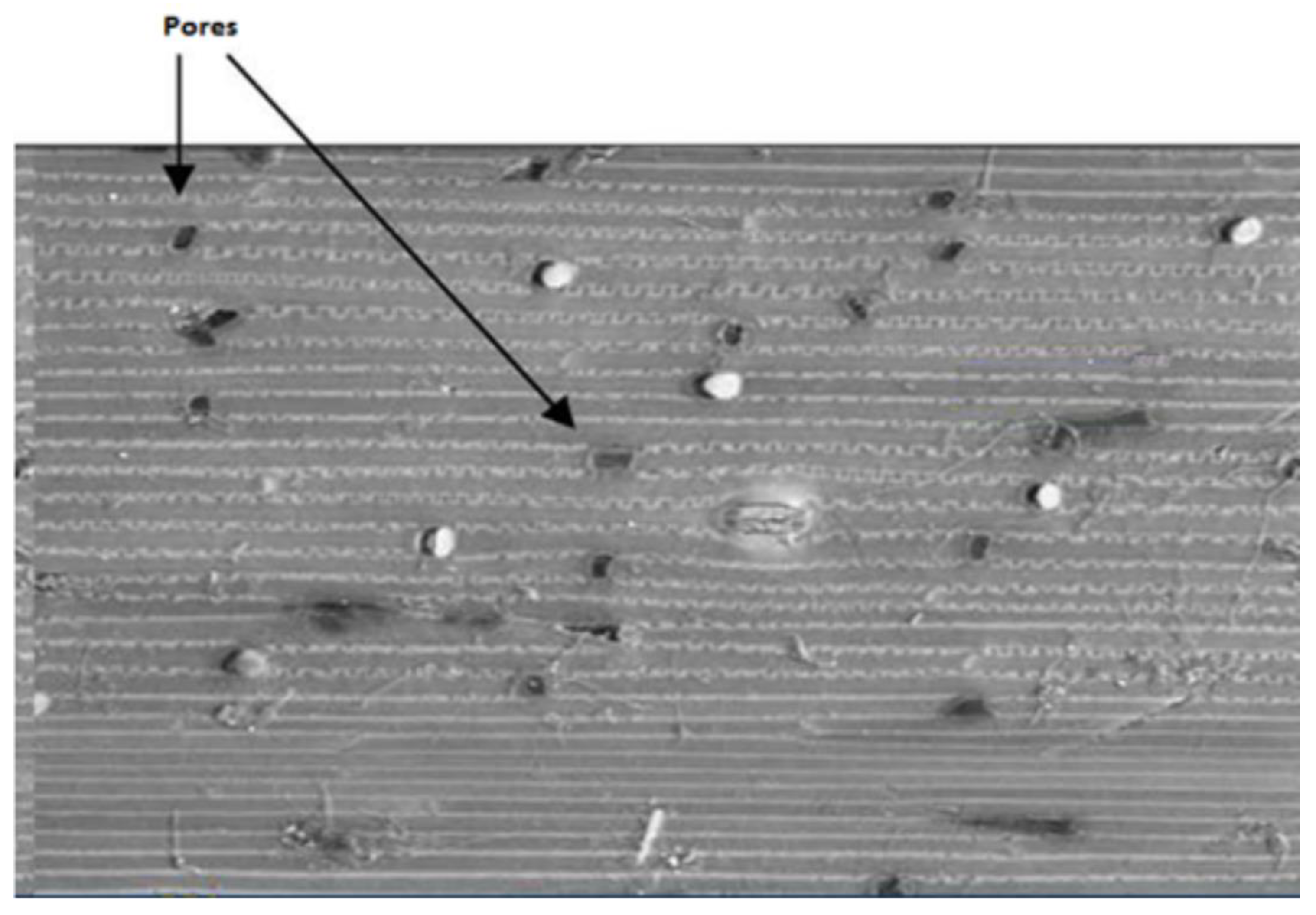 Methane 01 00014 g007 550