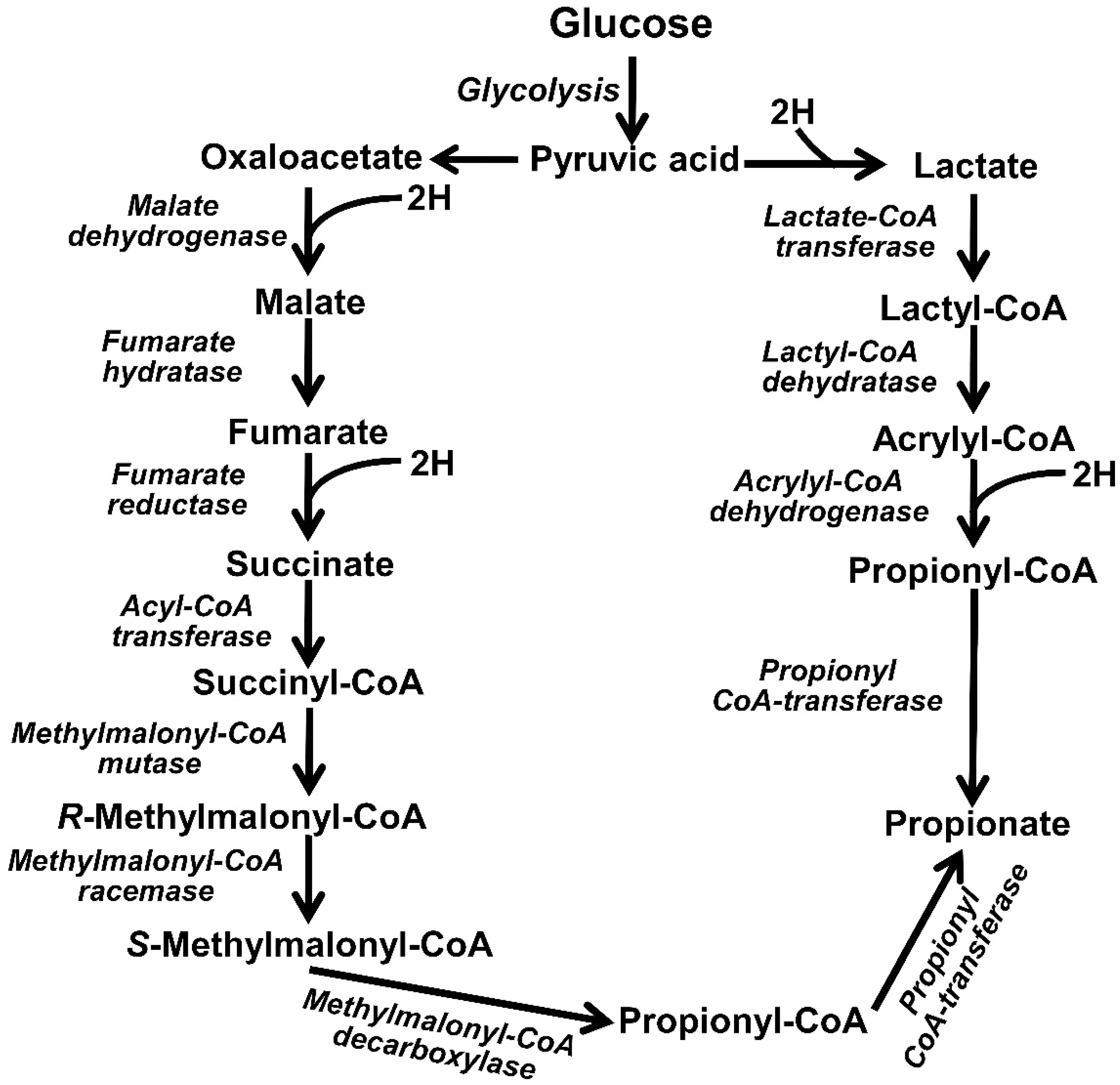 Methane 01 00024 g005 Methane 01 00024 g005