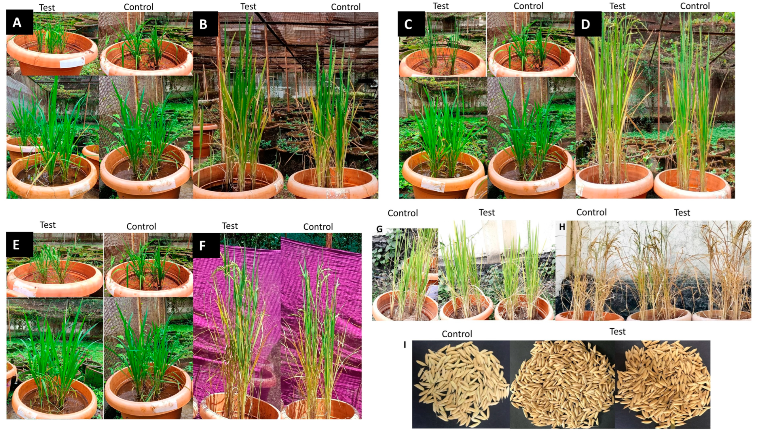 Methane 02 00024 g002