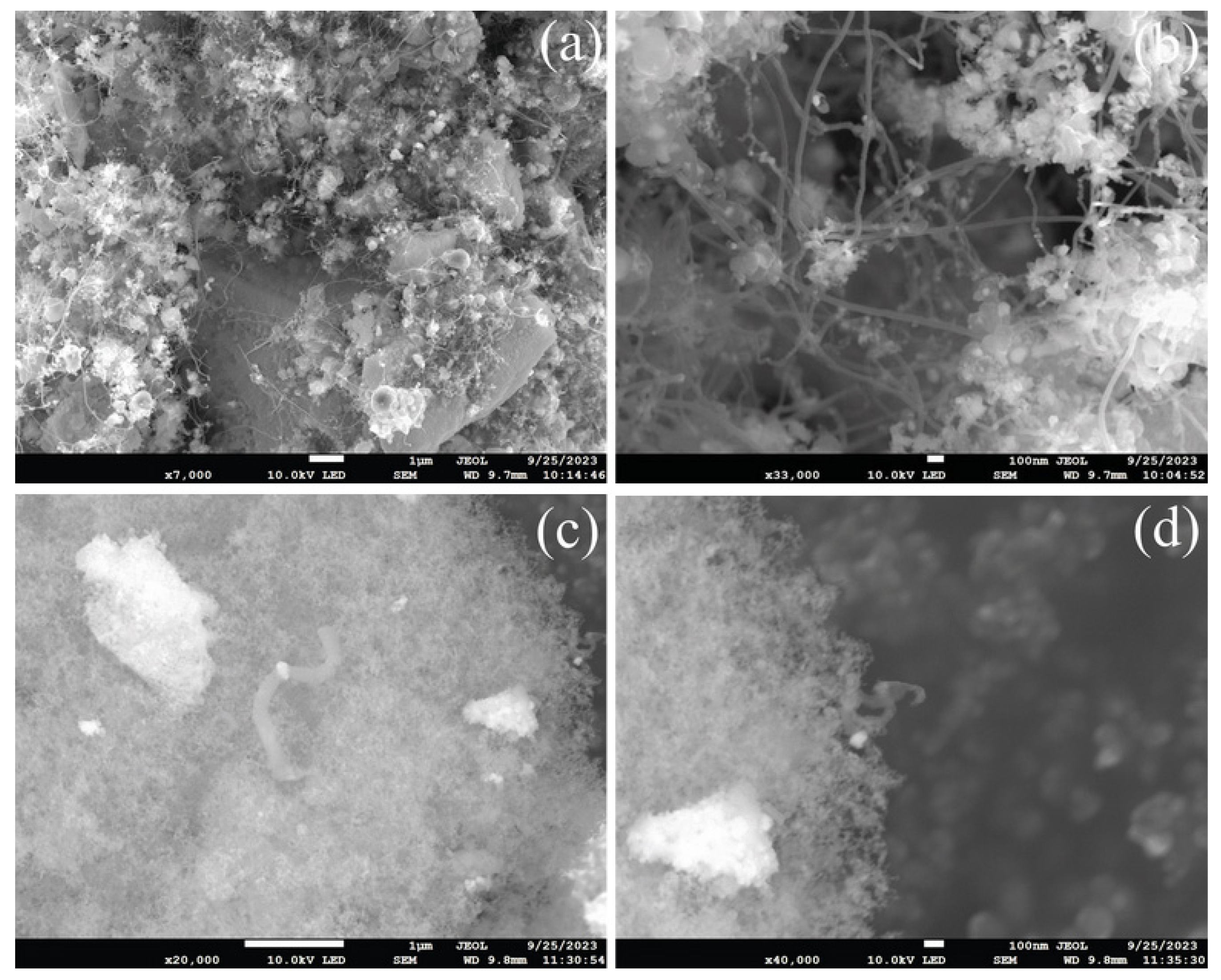 Methane 02 00031 g011