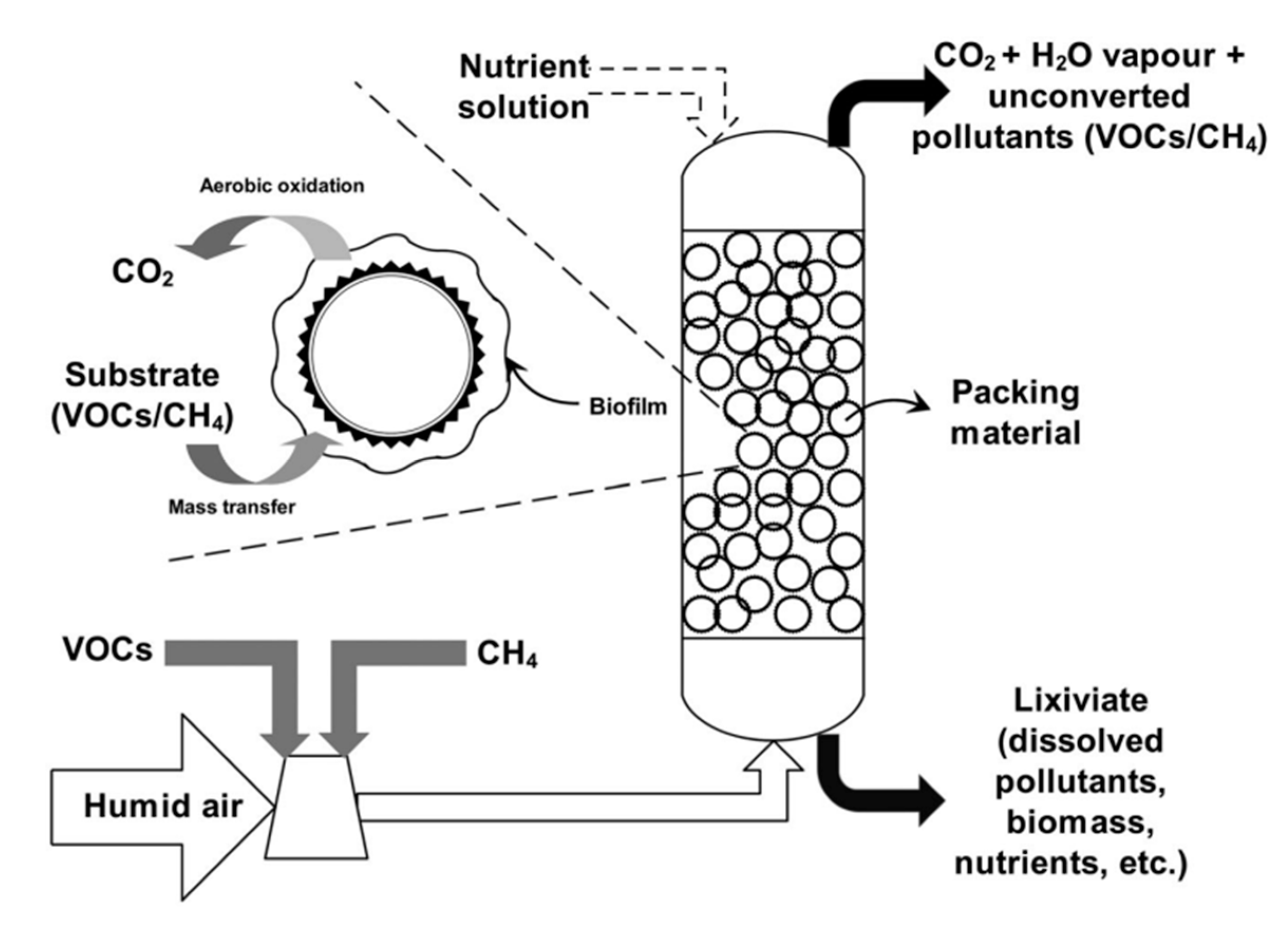 Methane 03 00008 g003 Methane 03 00008 g003