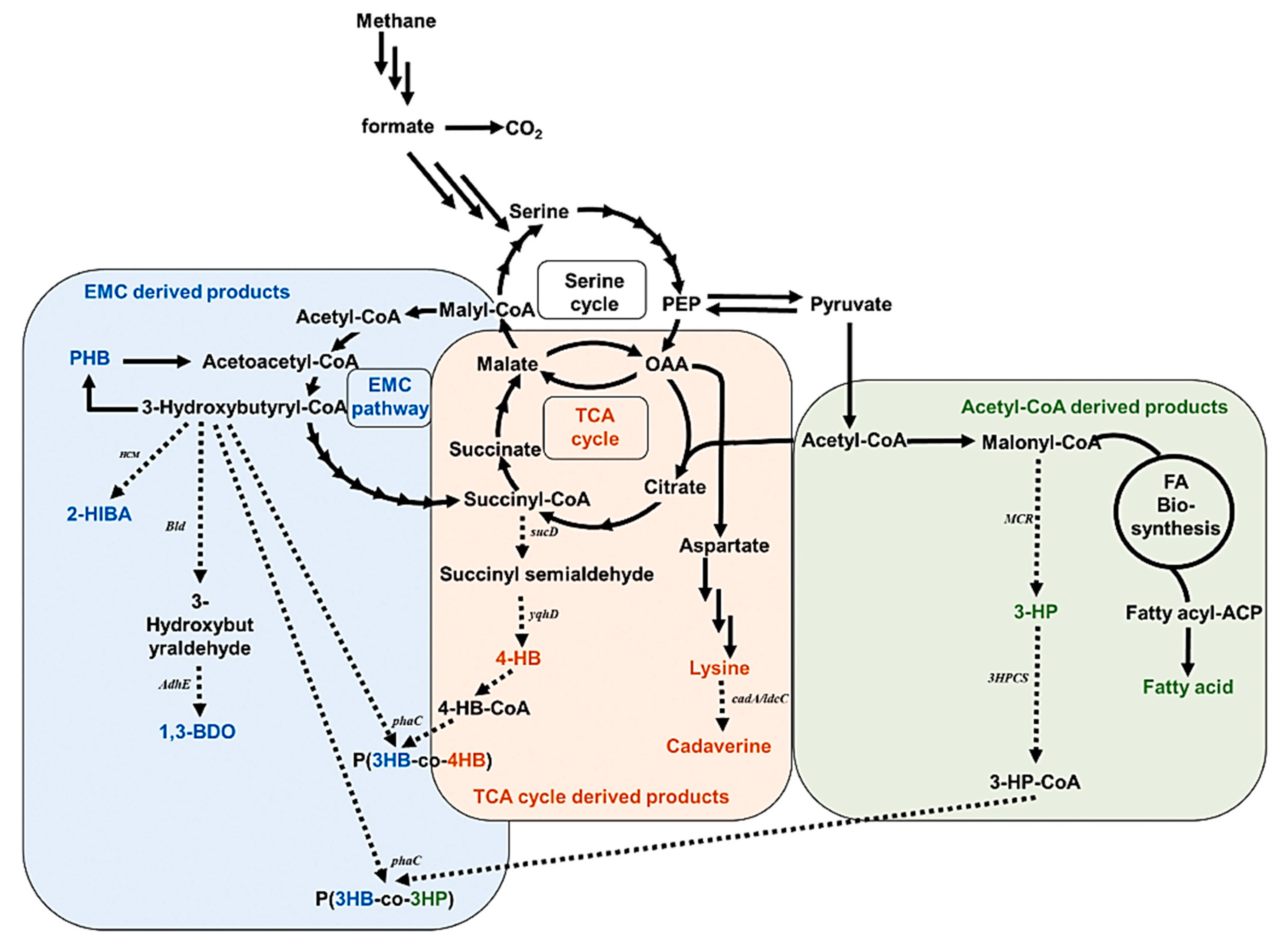 Methane 03 00008 g005 Methane 03 00008 g005