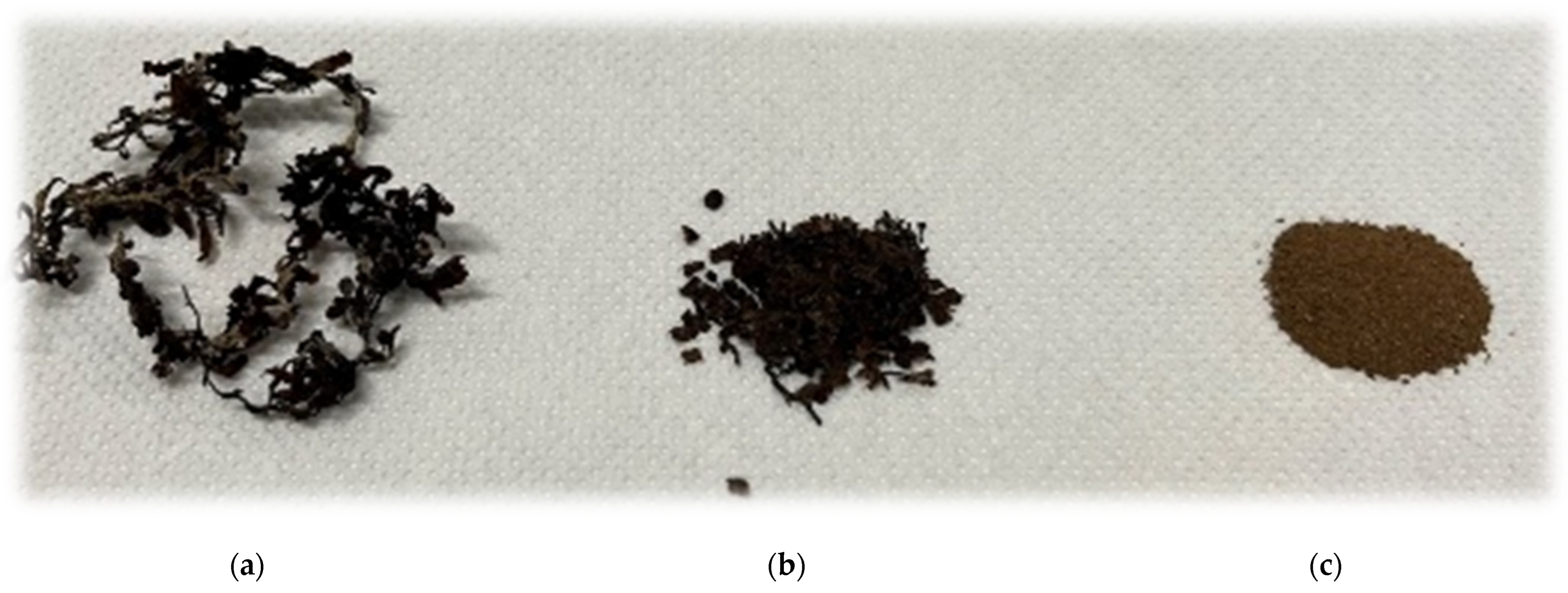 Methane 03 00010 g001