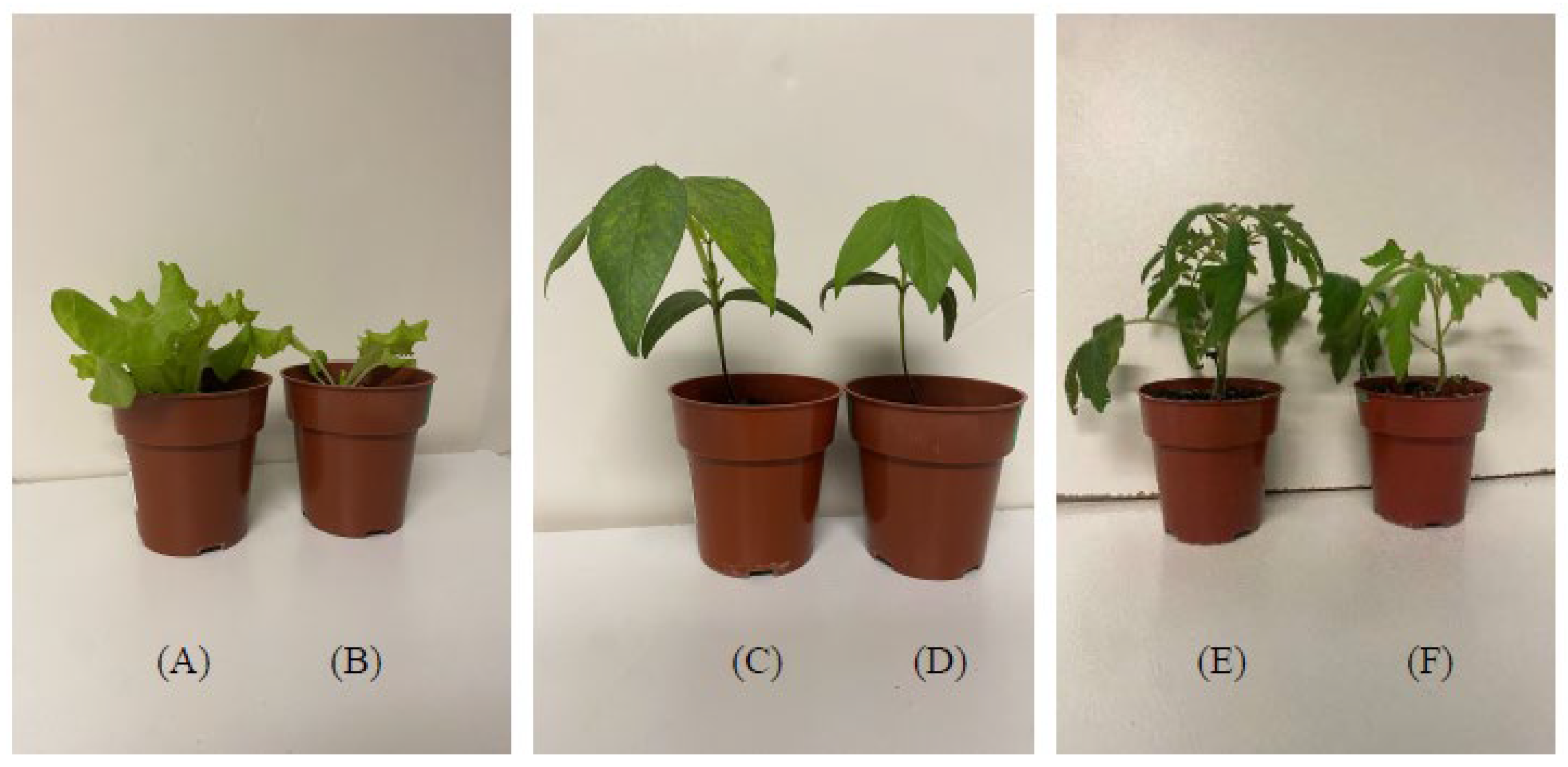 Methane 03 00021 g001