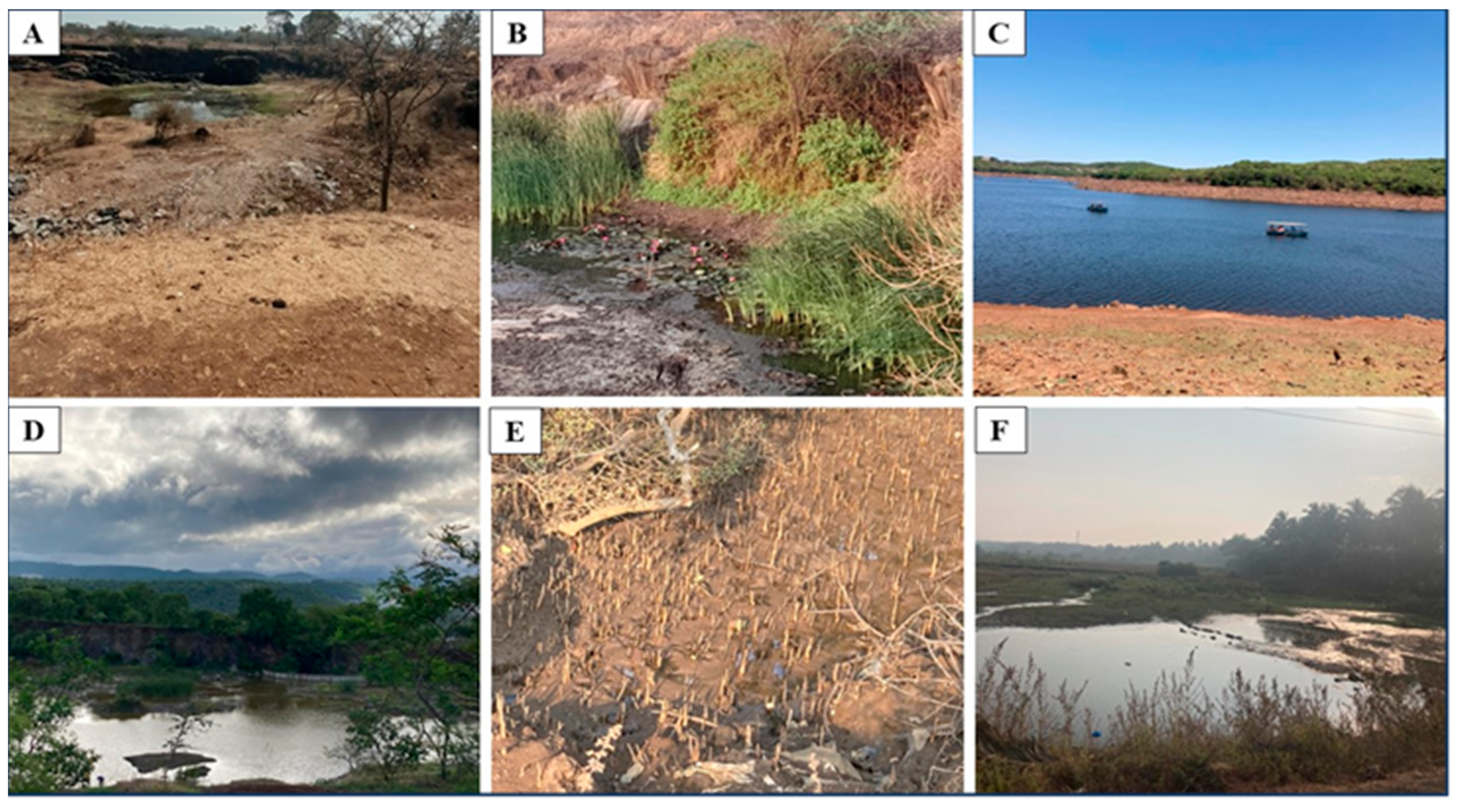 Methane 04 00017 g001
