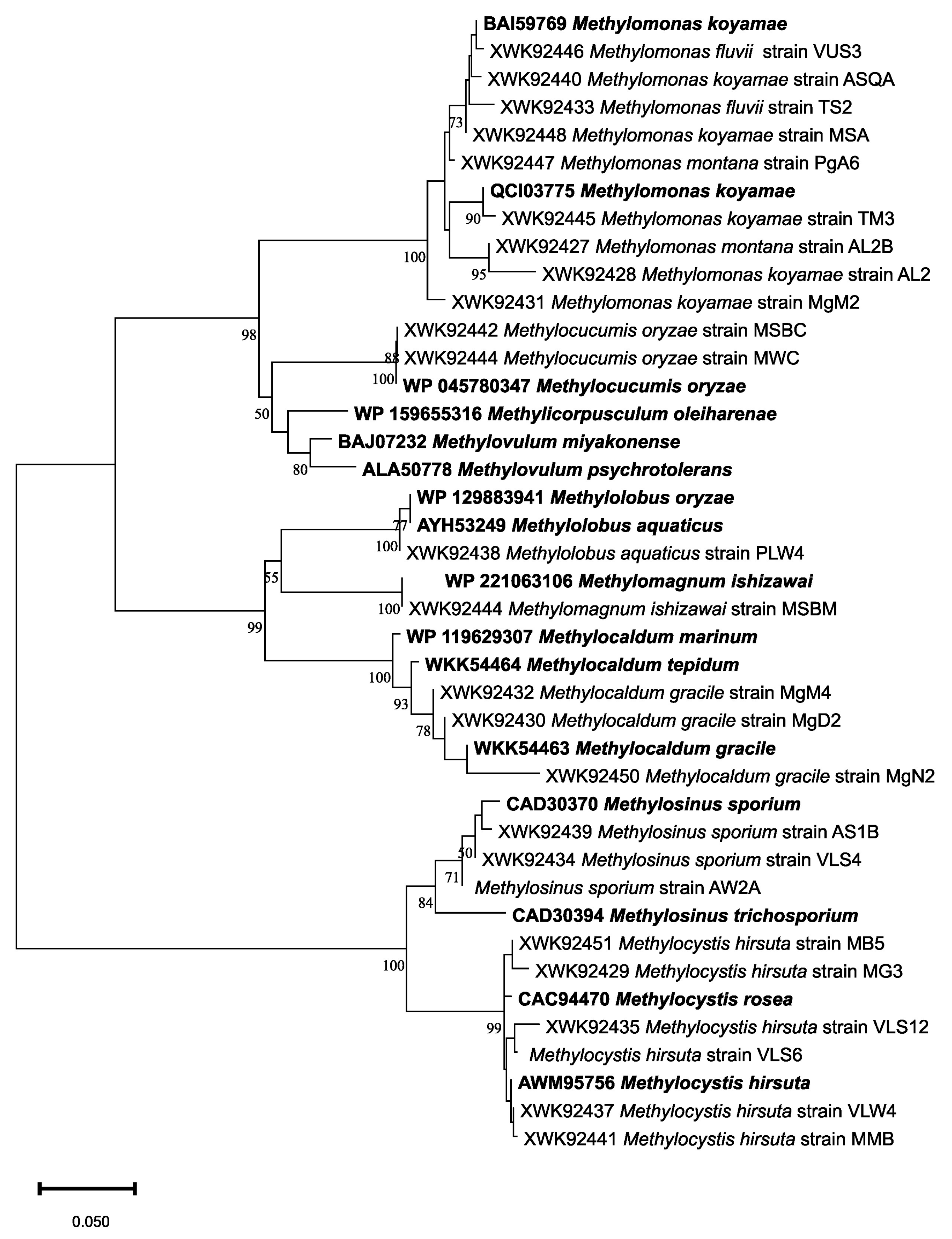 Methane 04 00017 g003