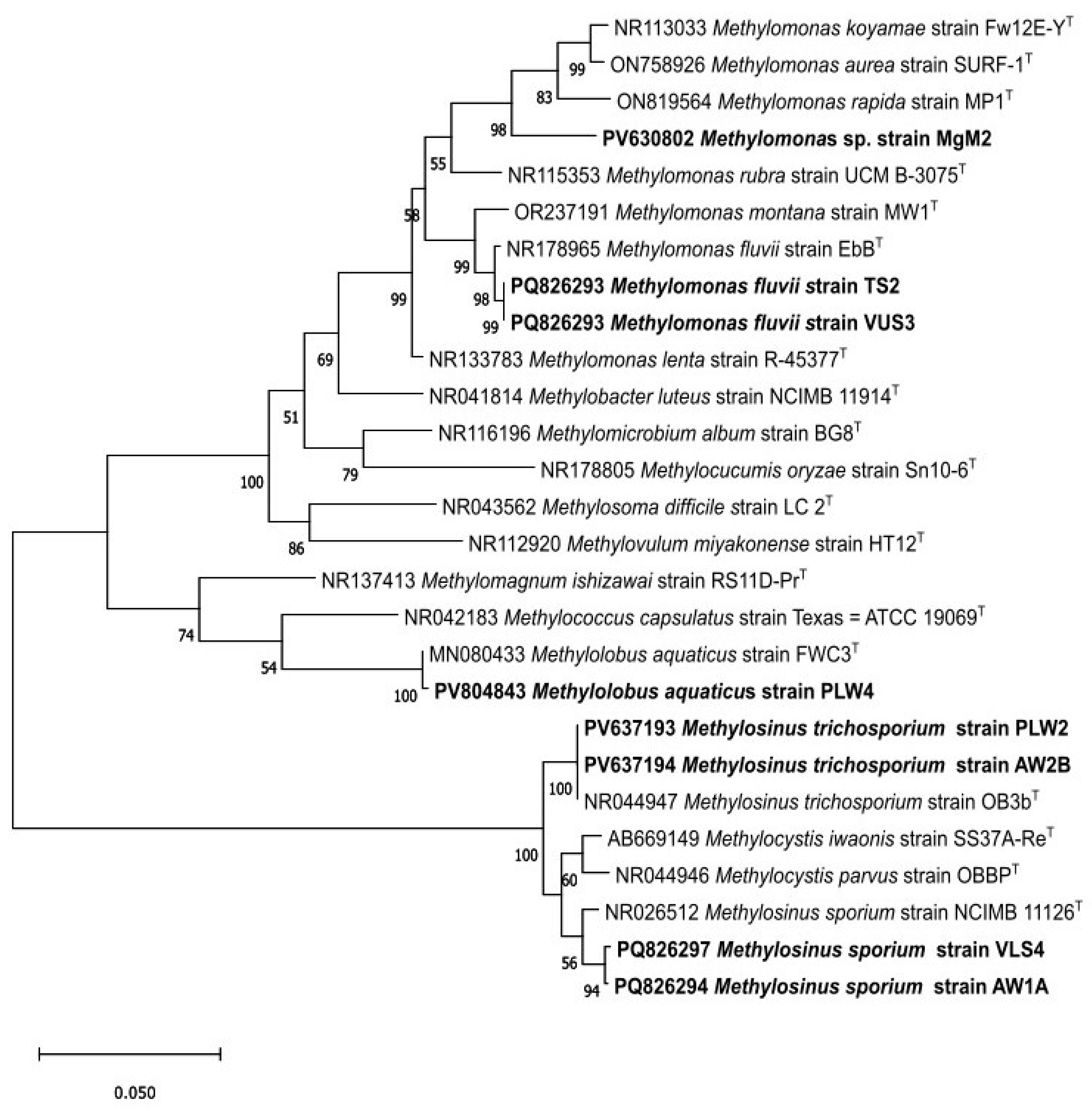 Methane 04 00017 g004