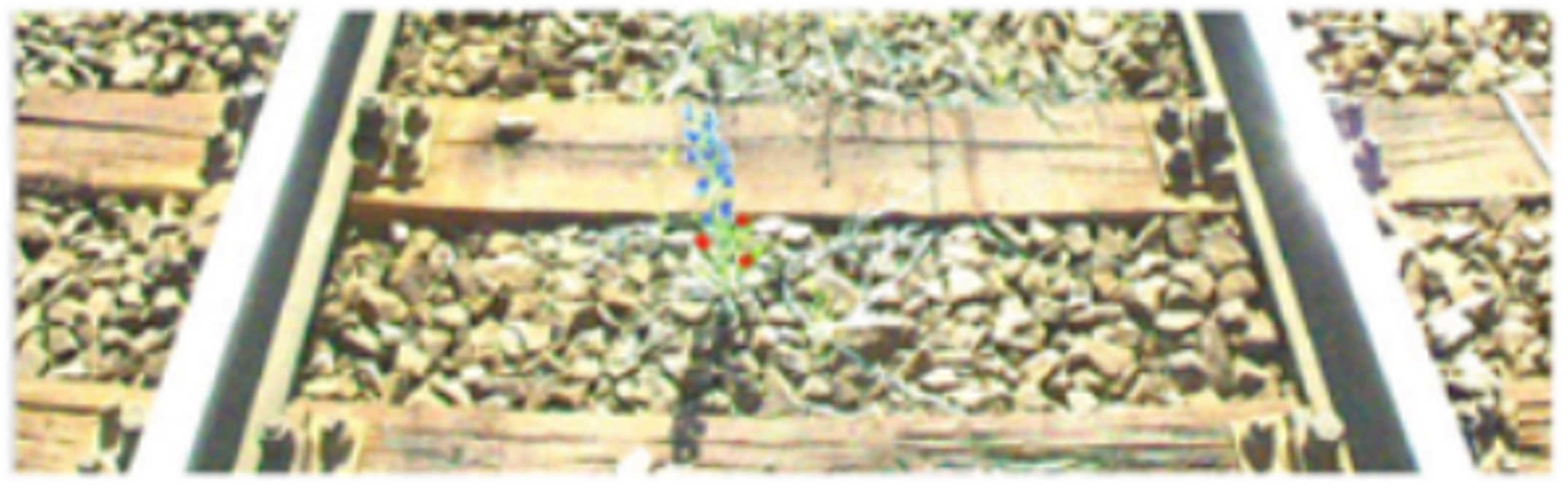 Metrology 02 00014 i017