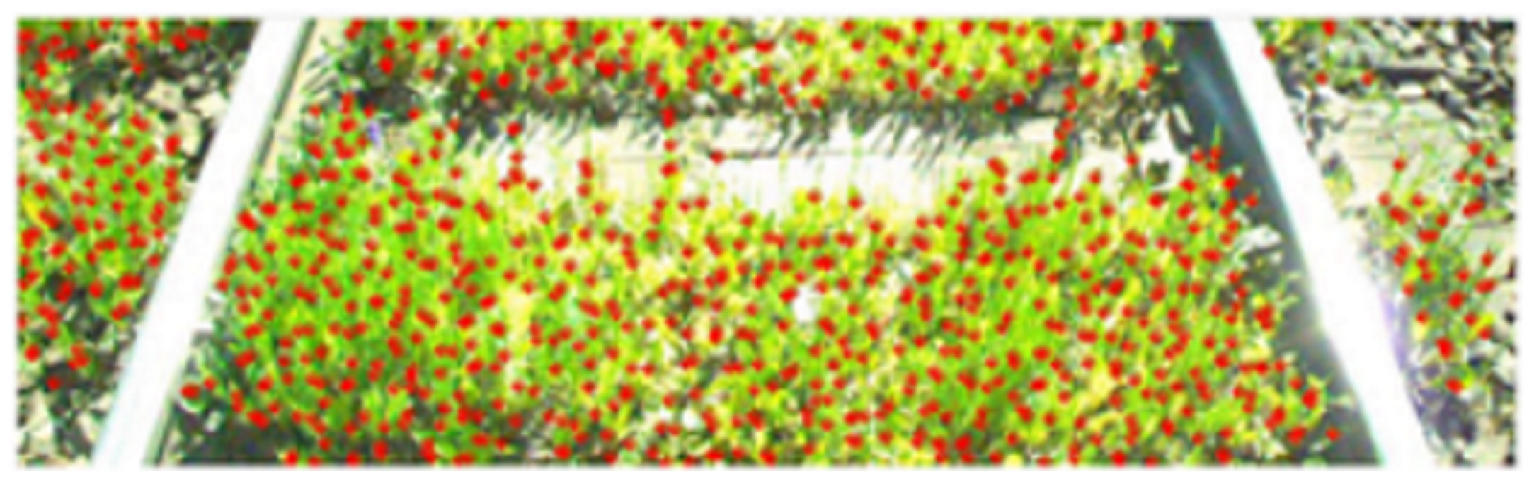 Metrology 02 00014 i029