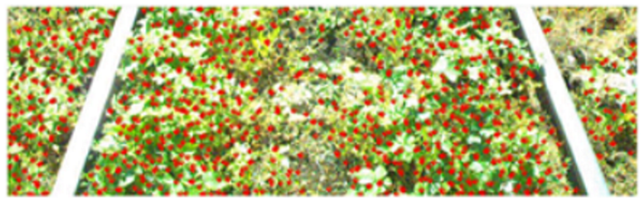 Metrology 02 00014 i032