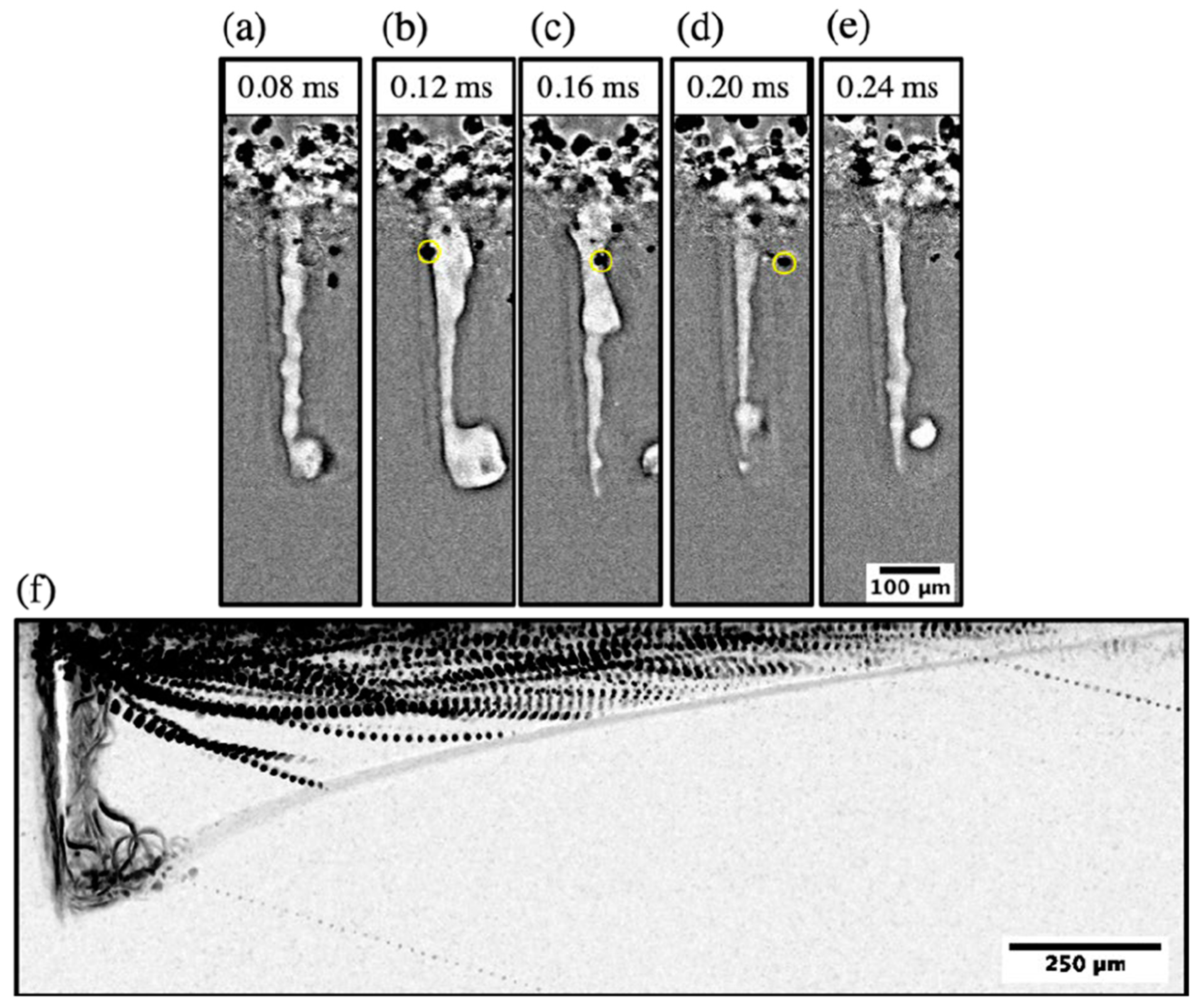 Metrology 04 00012 g005