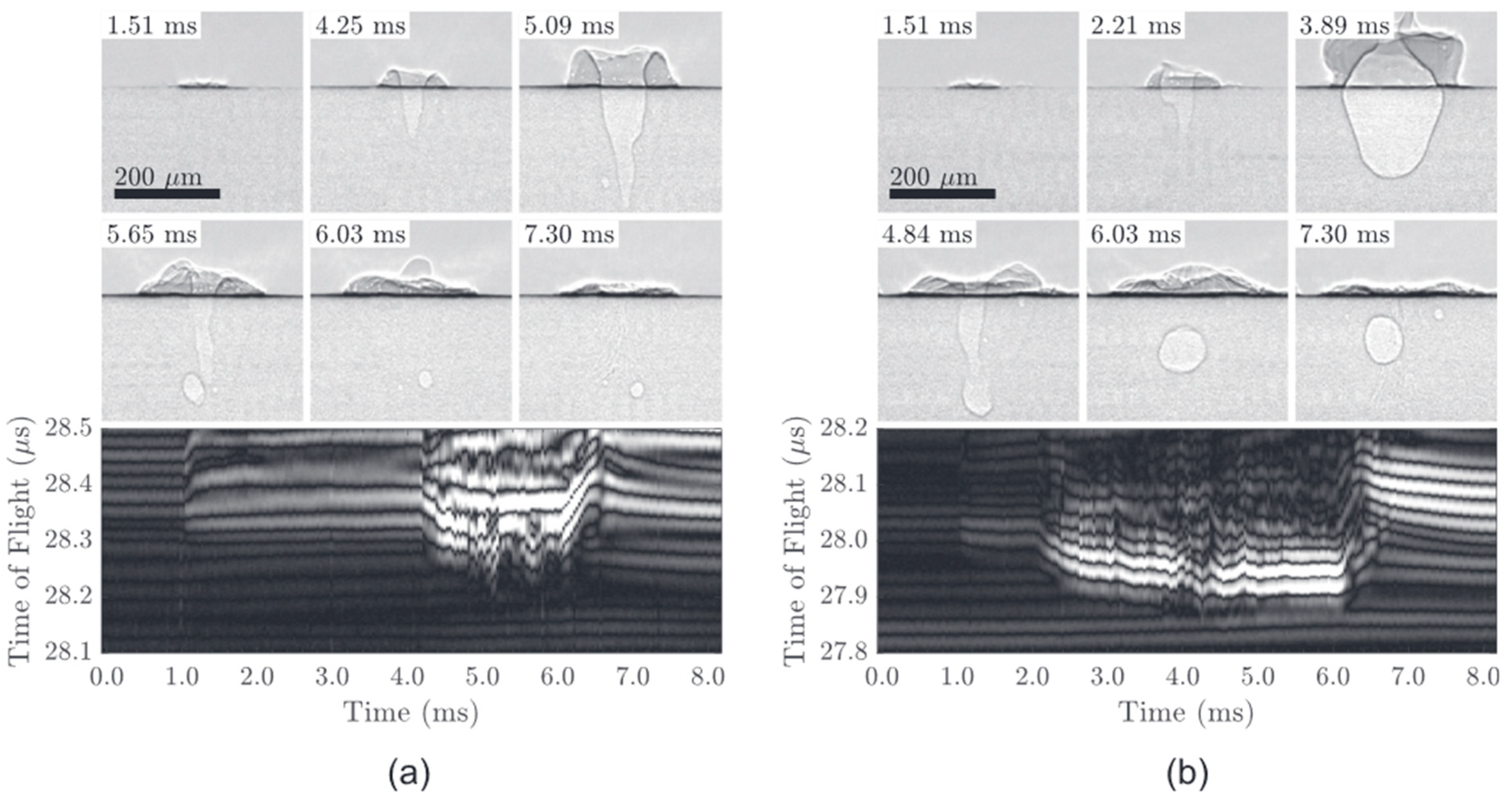 Metrology 04 00012 g012