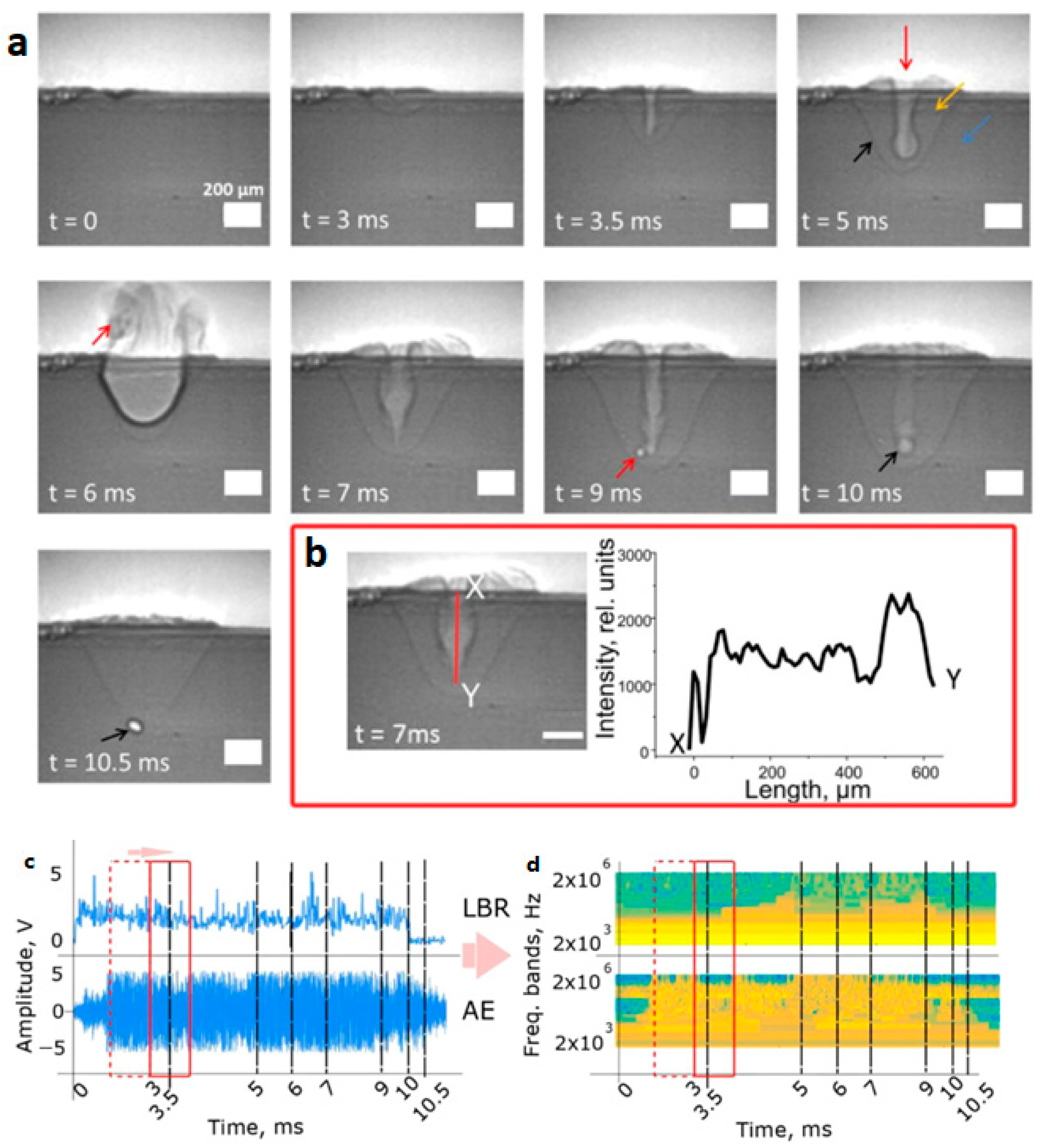 Metrology 04 00012 g013