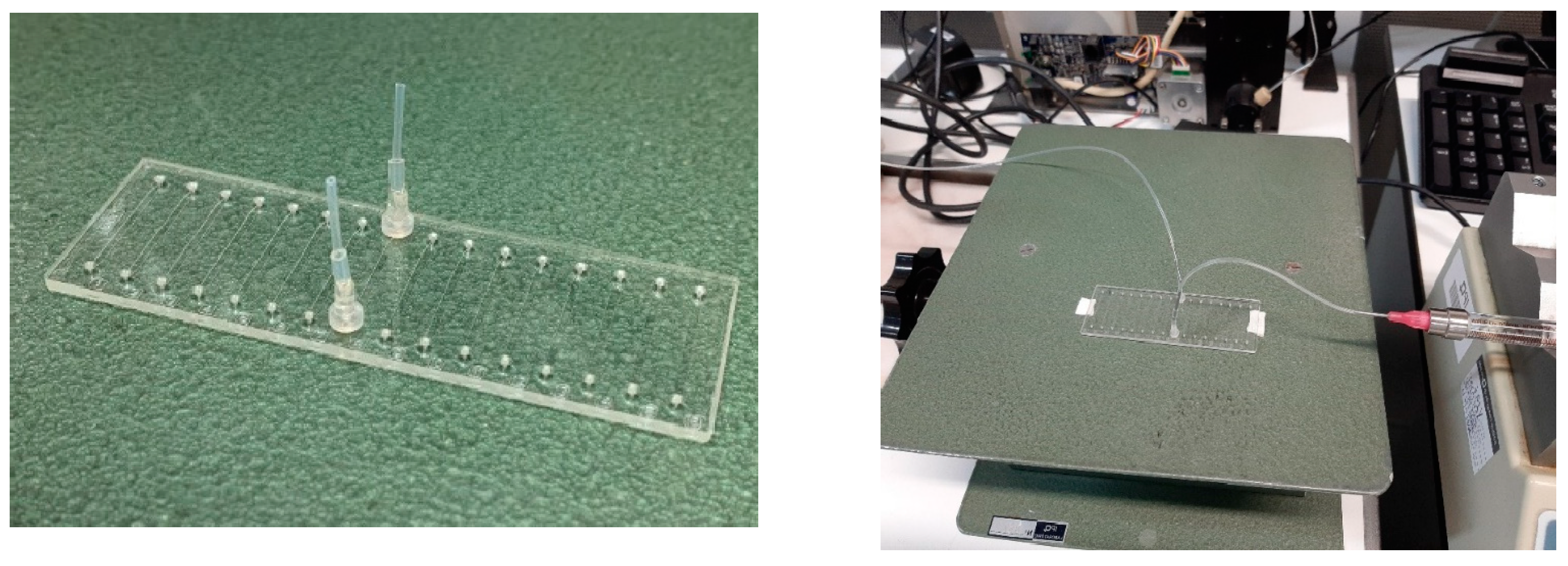 Metrology 04 00015 g006