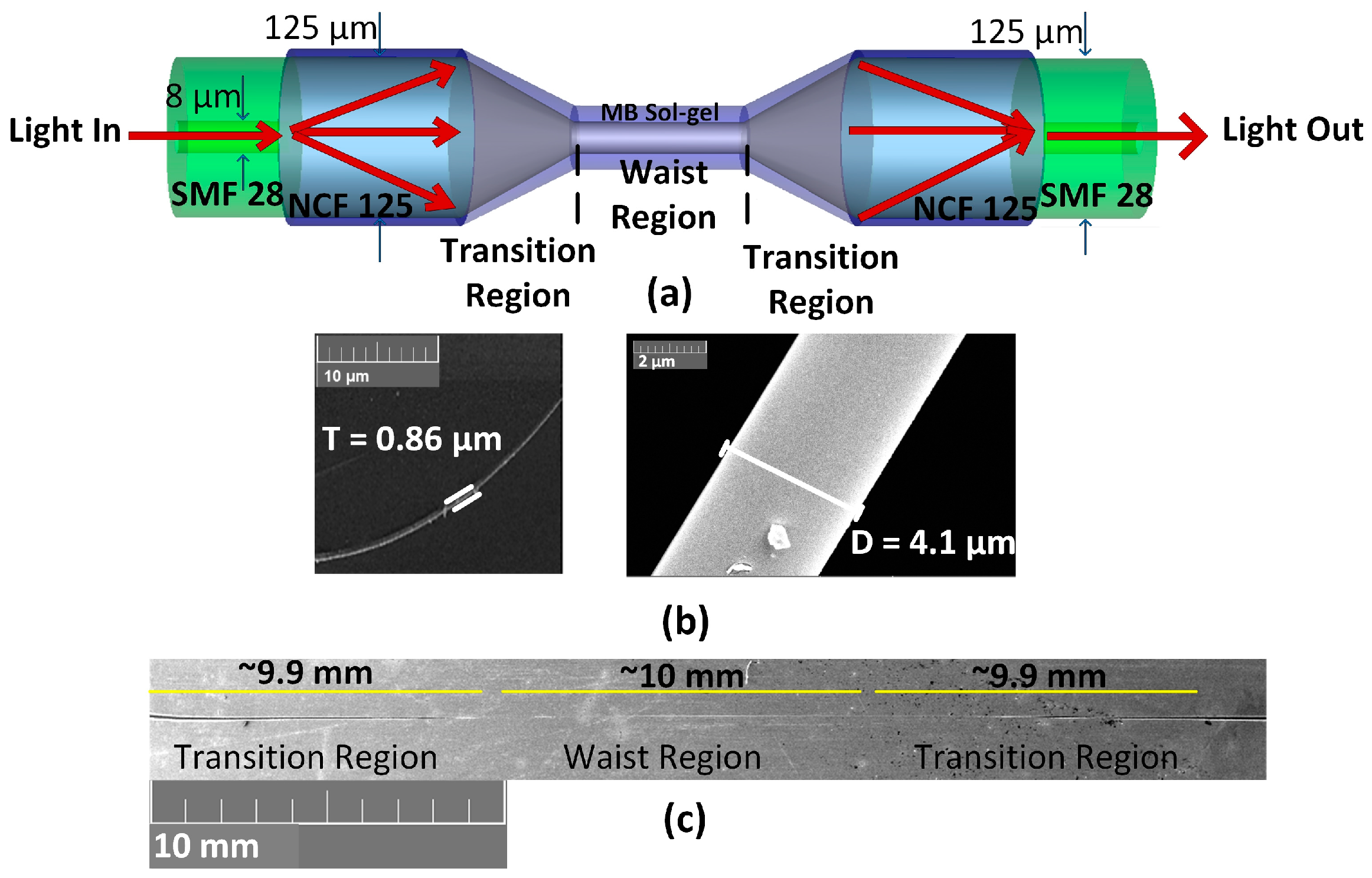 Metrology 04 00018 g001
