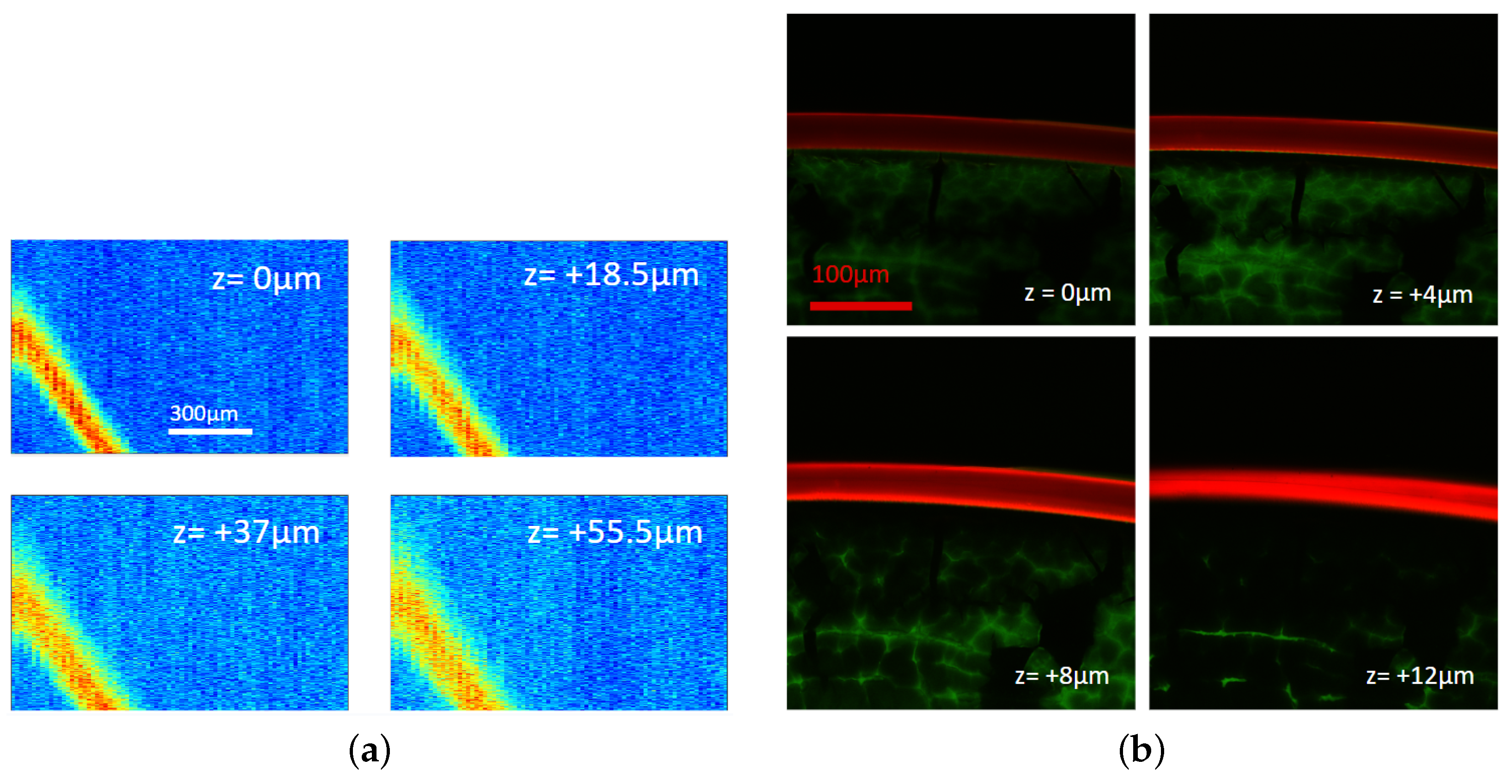 Metrology 05 00002 g013