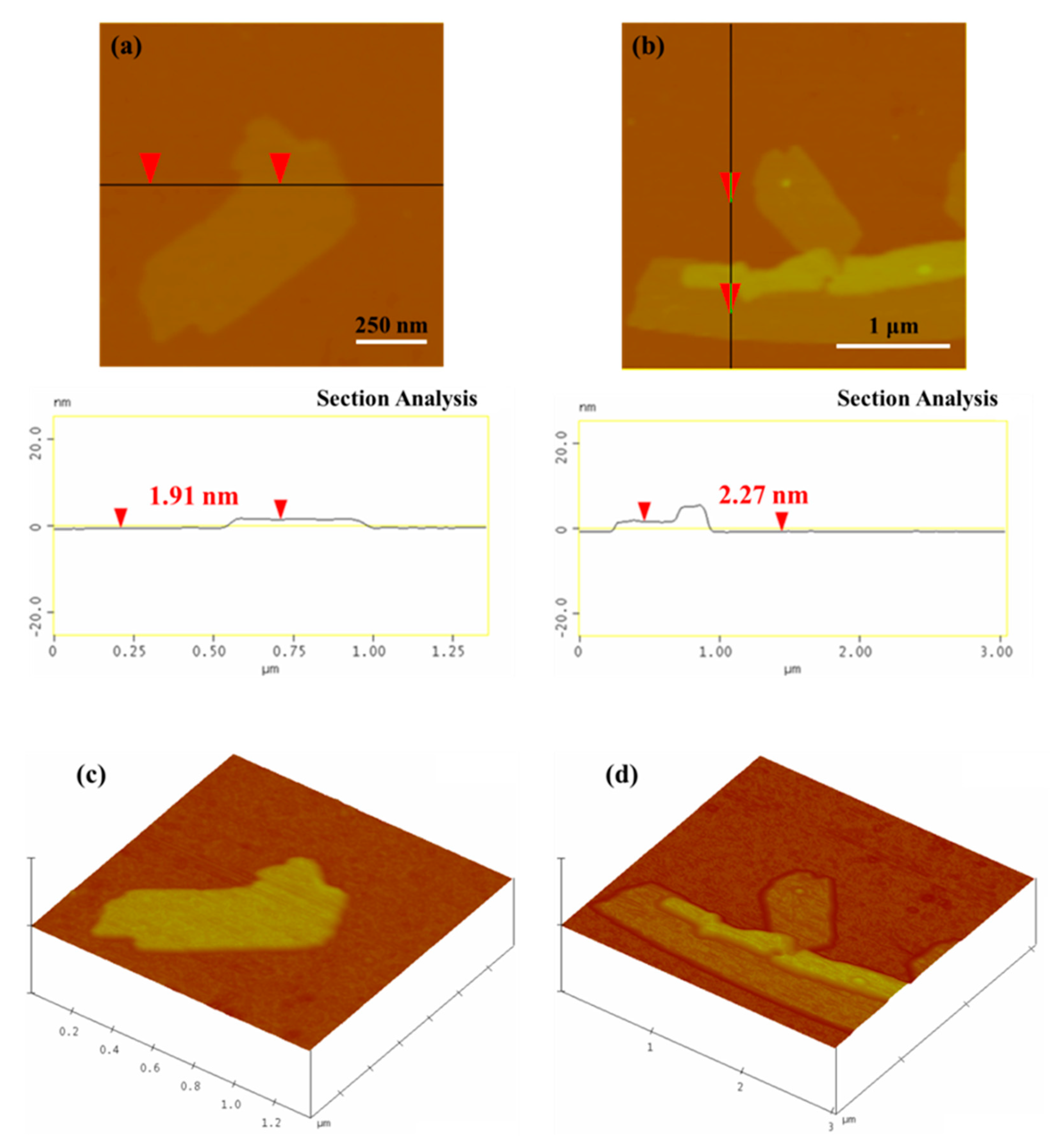 Micro 01 00003 g006 Micro 01 00003 g006