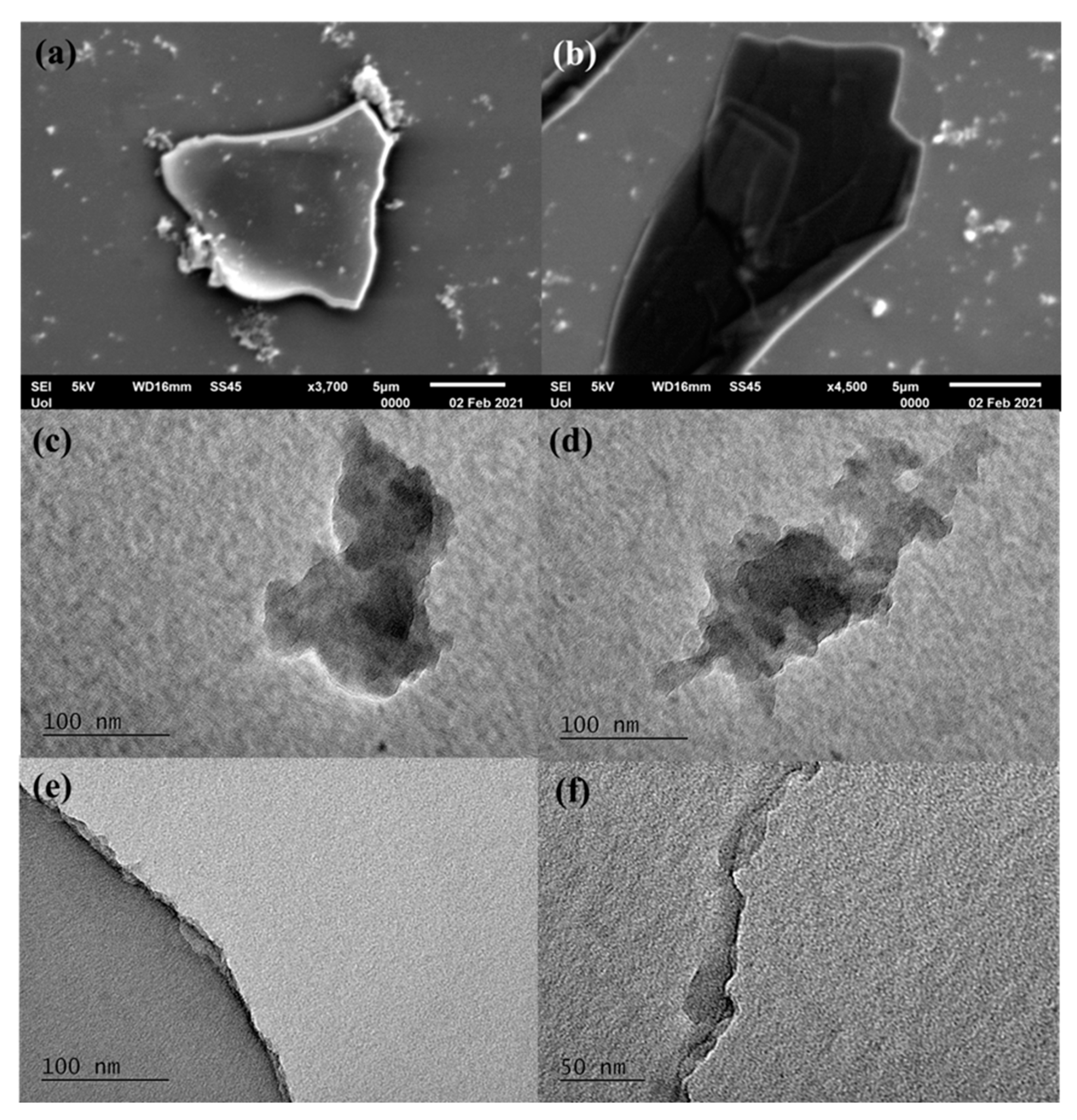 Micro 01 00003 g008 Micro 01 00003 g008