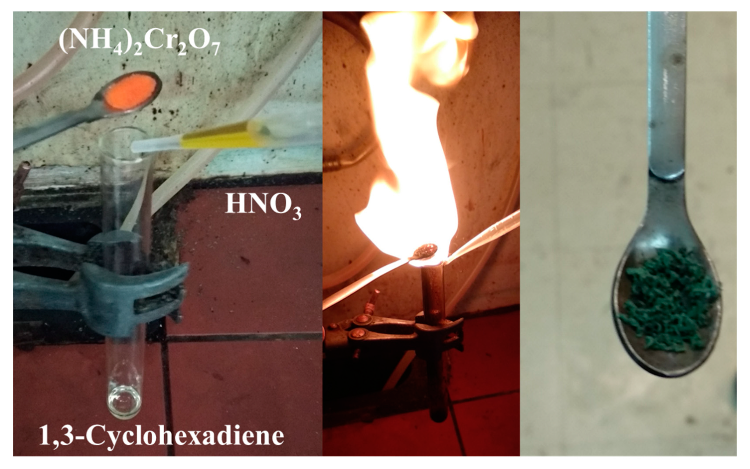 Micro 01 00003 g009 Micro 01 00003 g009