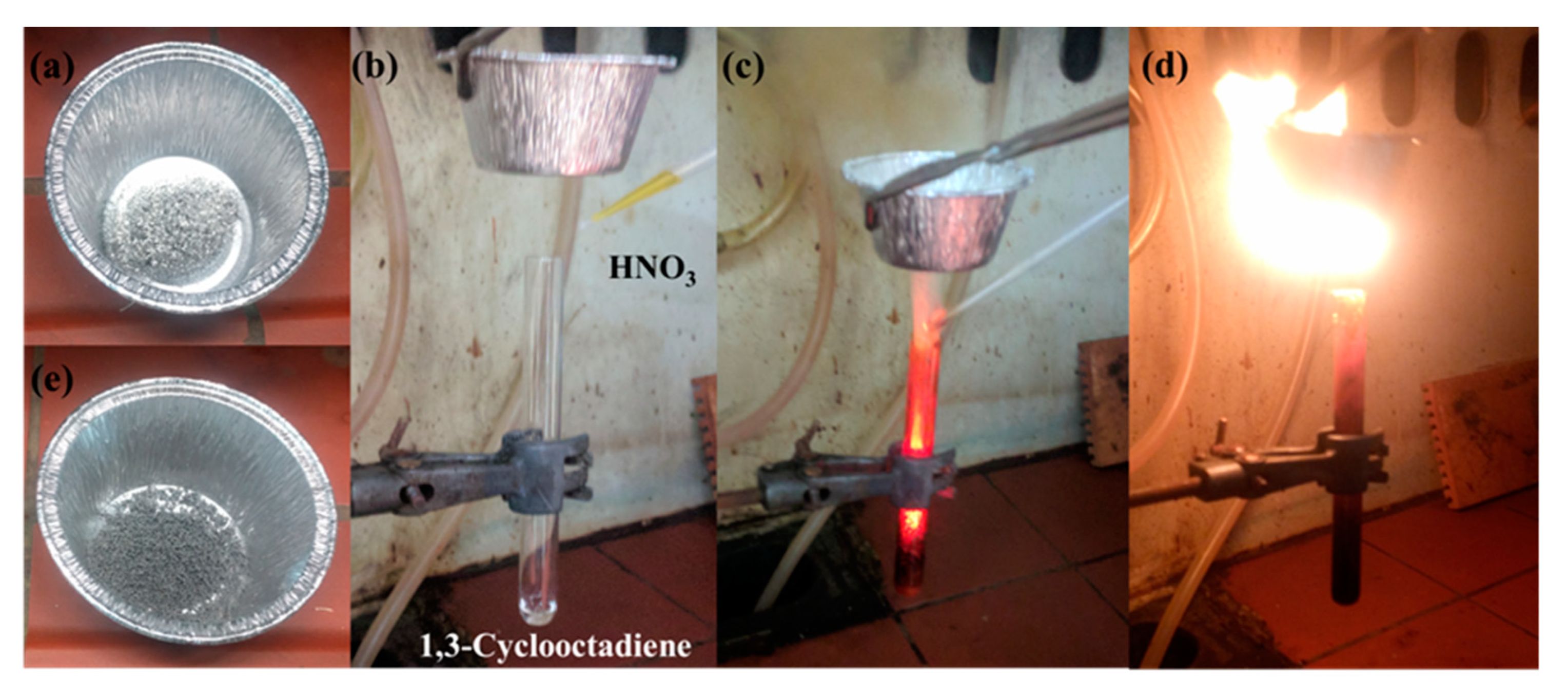 Micro 01 00003 g010 Micro 01 00003 g010