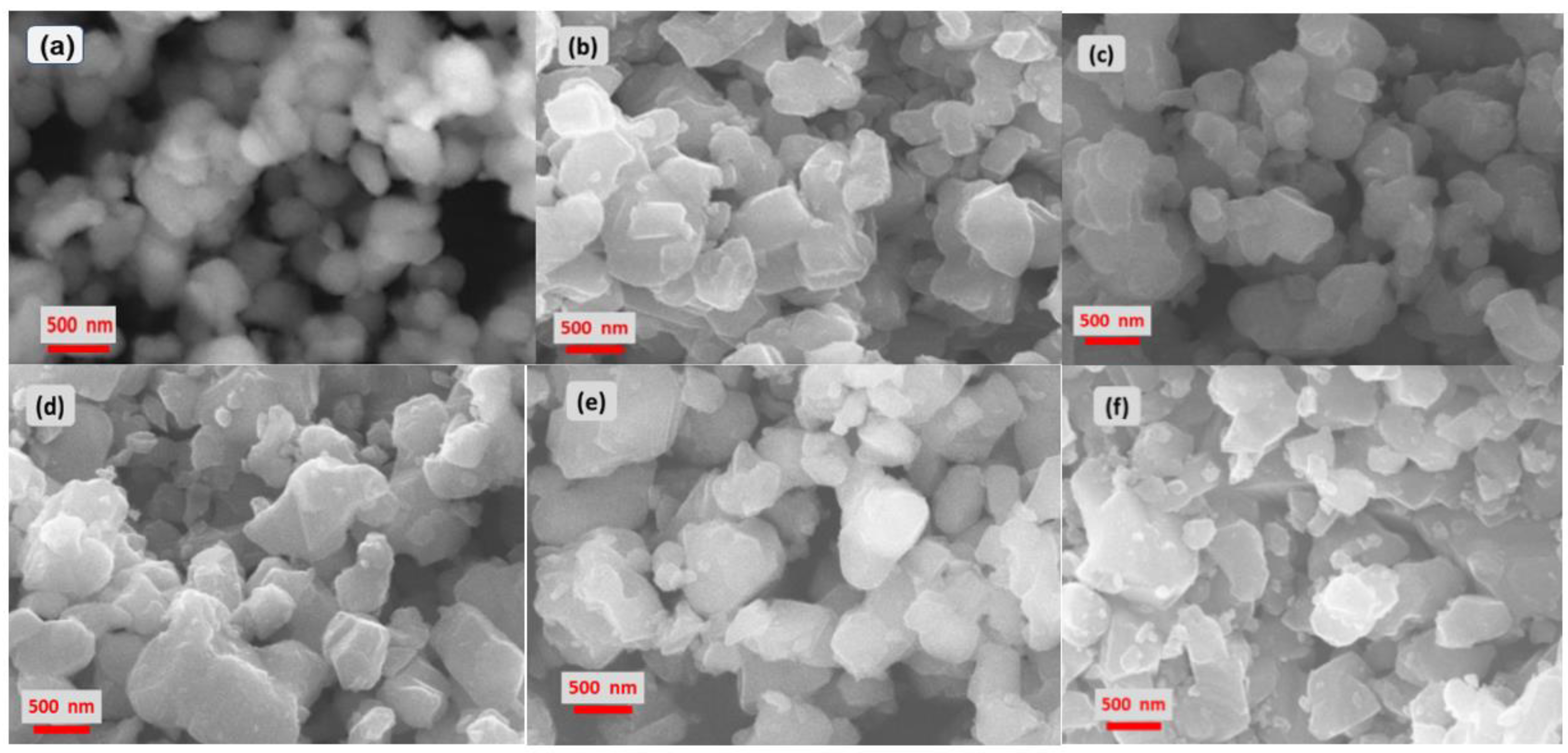 Micro 01 00004 g002 Micro 01 00004 g002