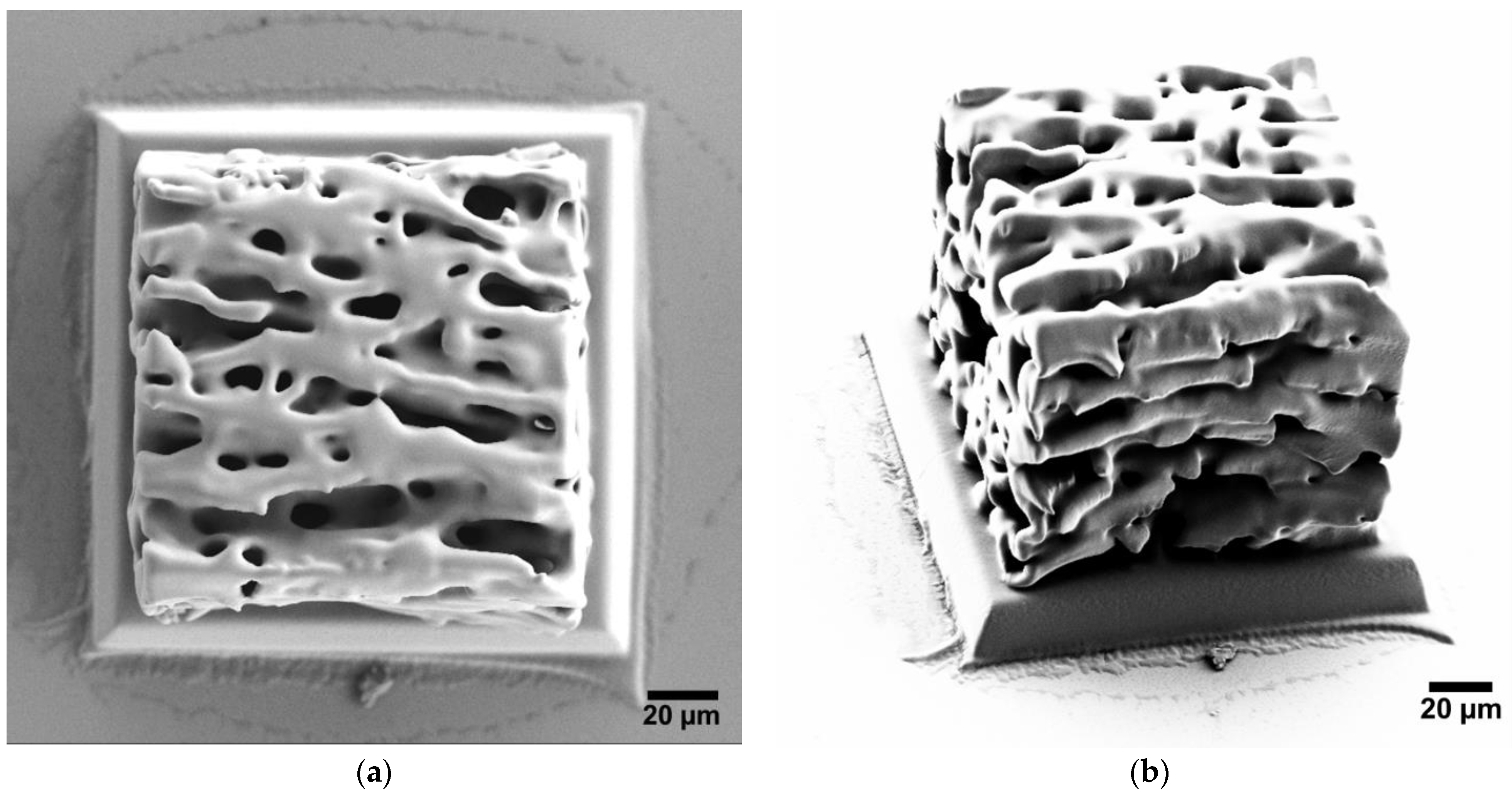 Micro 01 00013 g003 550