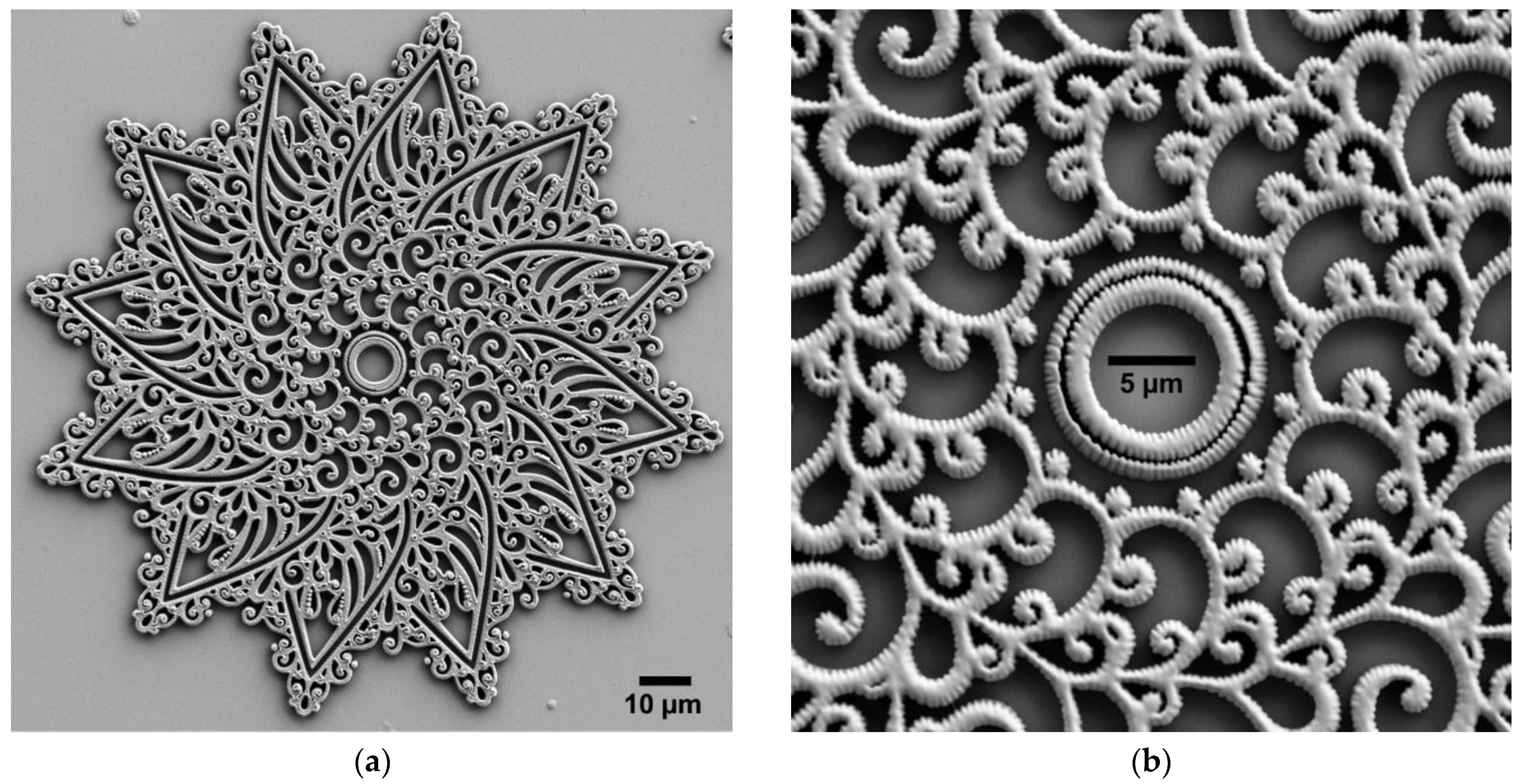 Micro 01 00013 g004 550