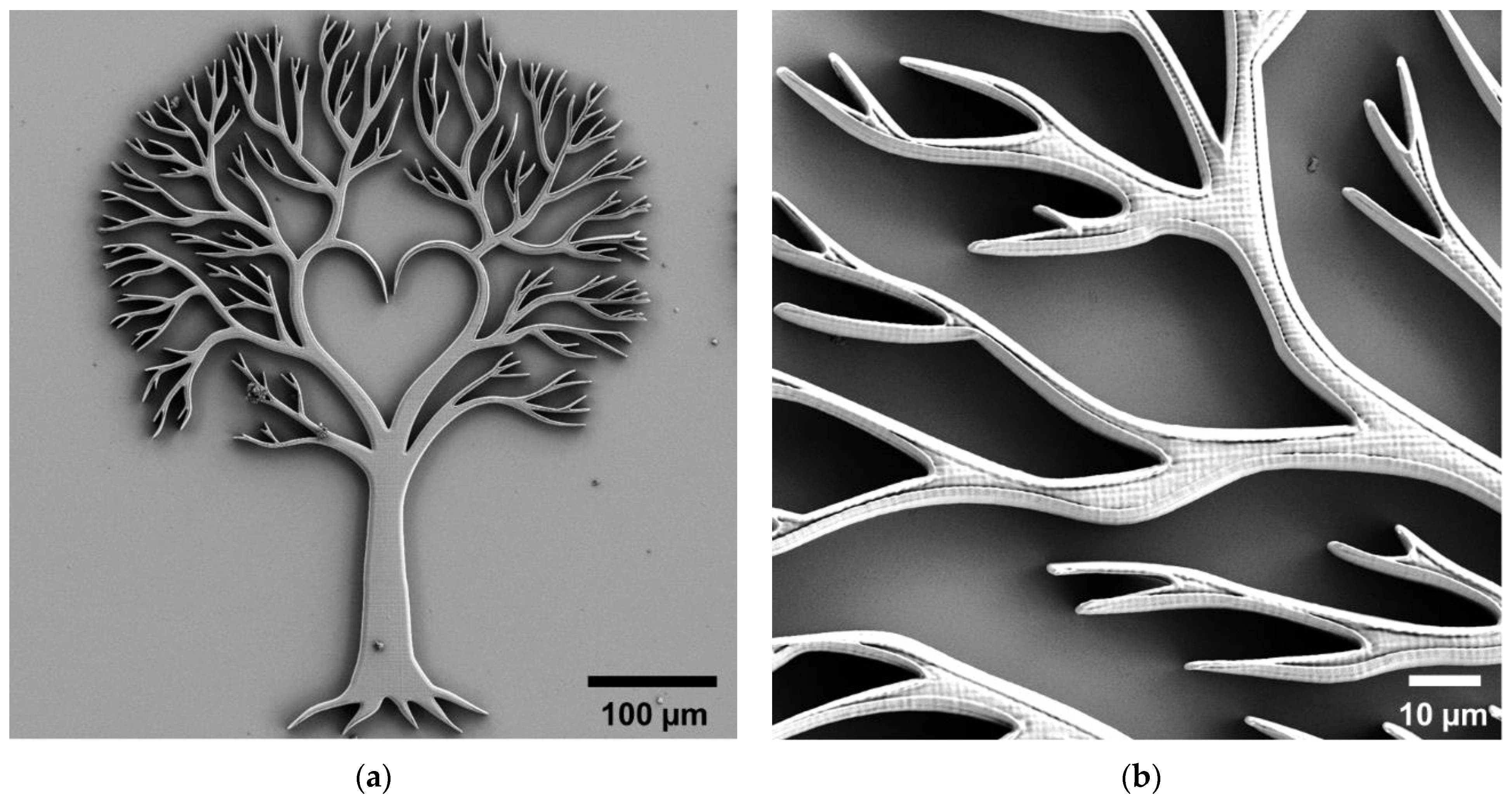 Micro 01 00013 g006 550
