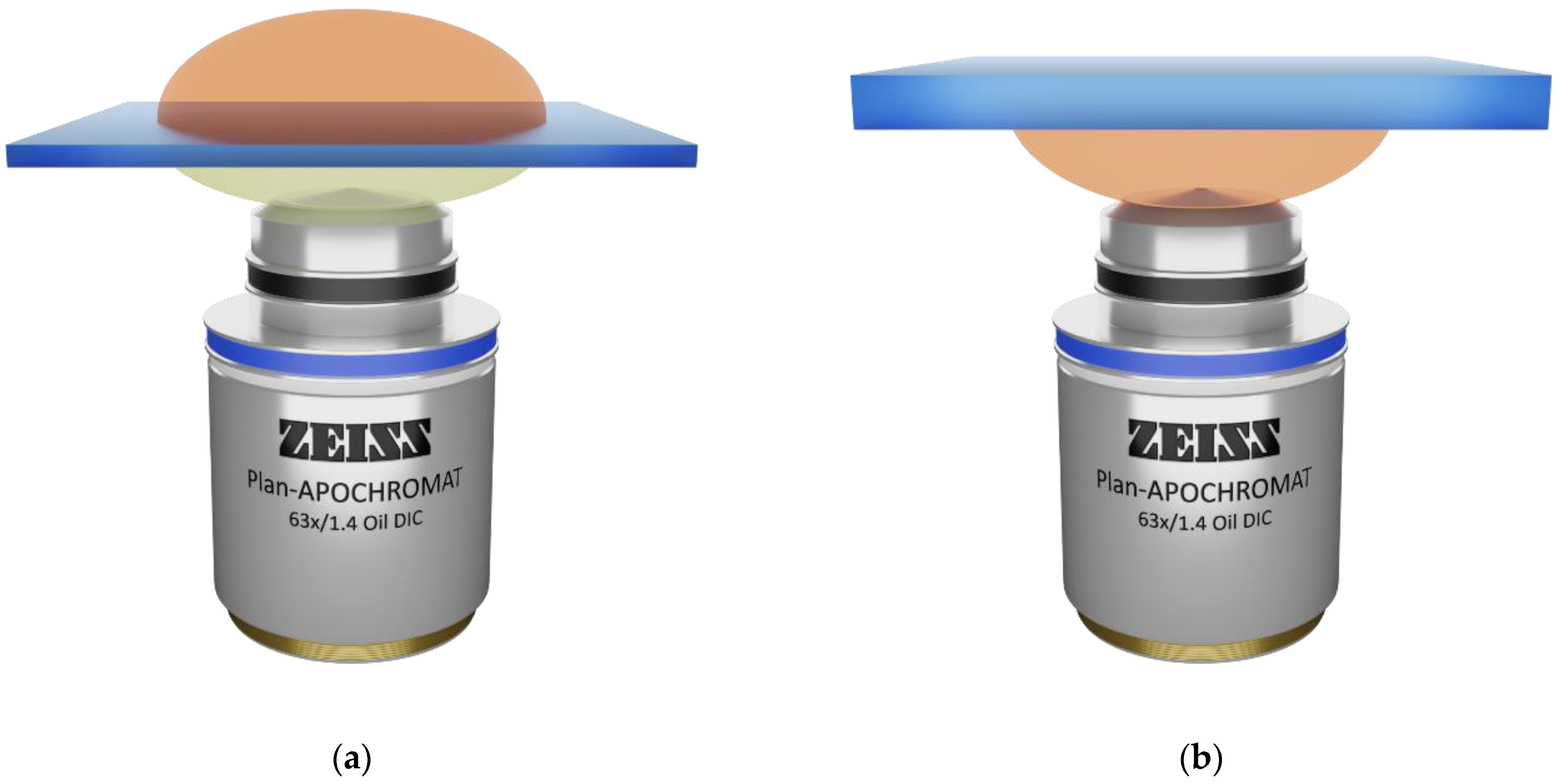 Micro 01 00013 g009 550