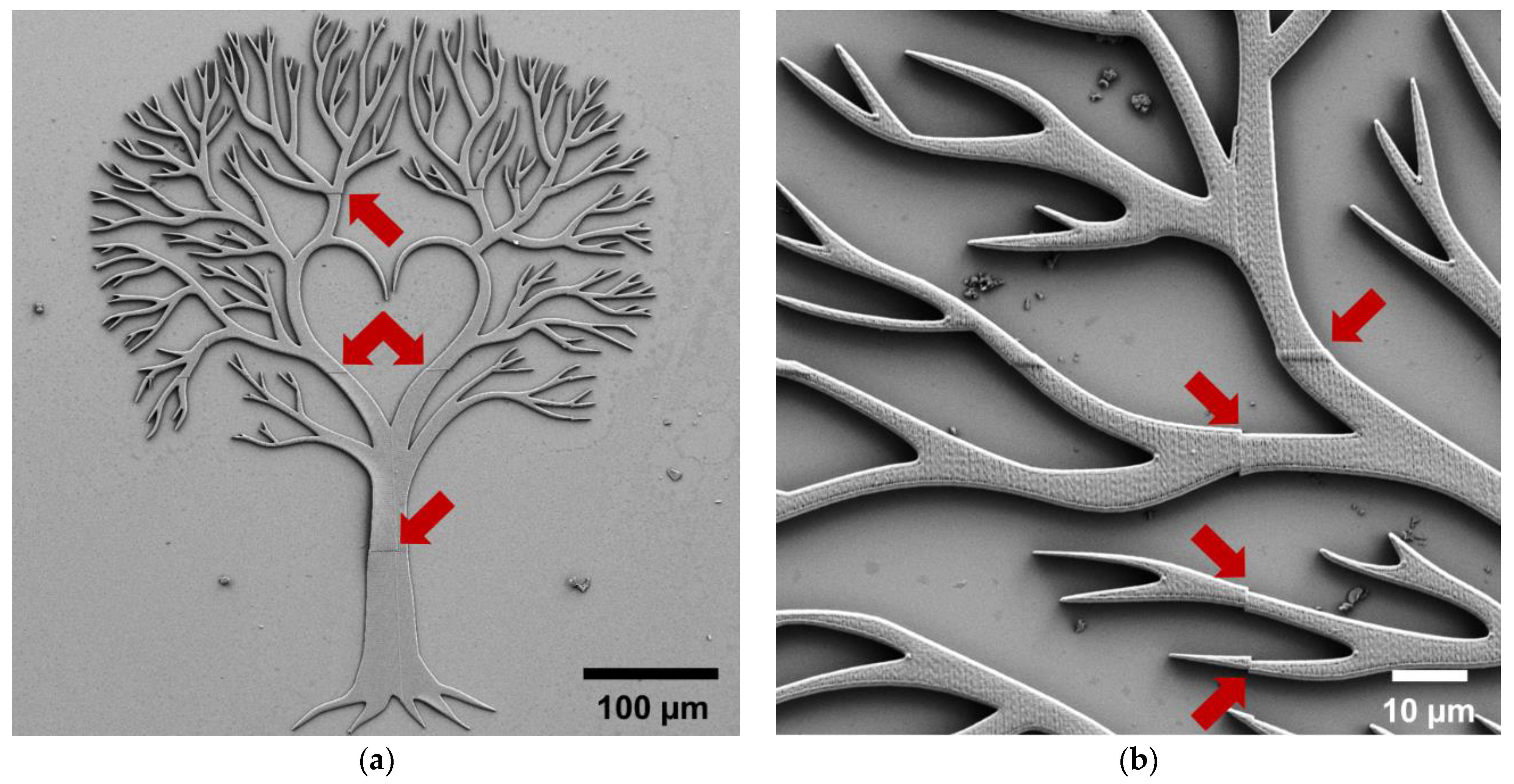 Micro 01 00013 g011 550