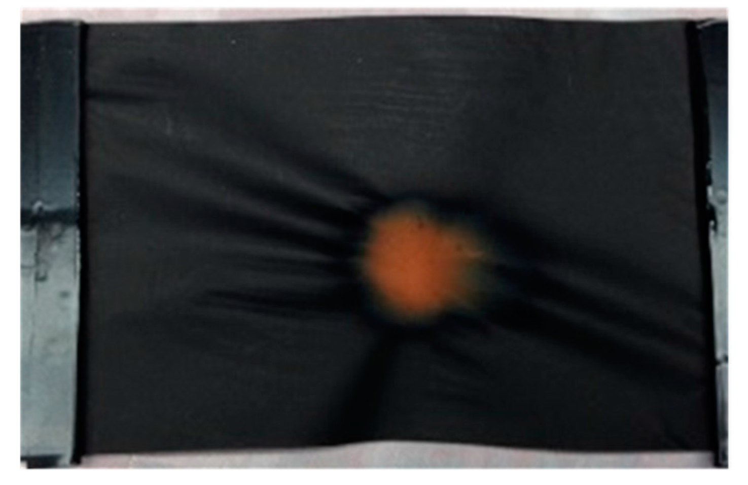 Micro 02 00004 g014 550