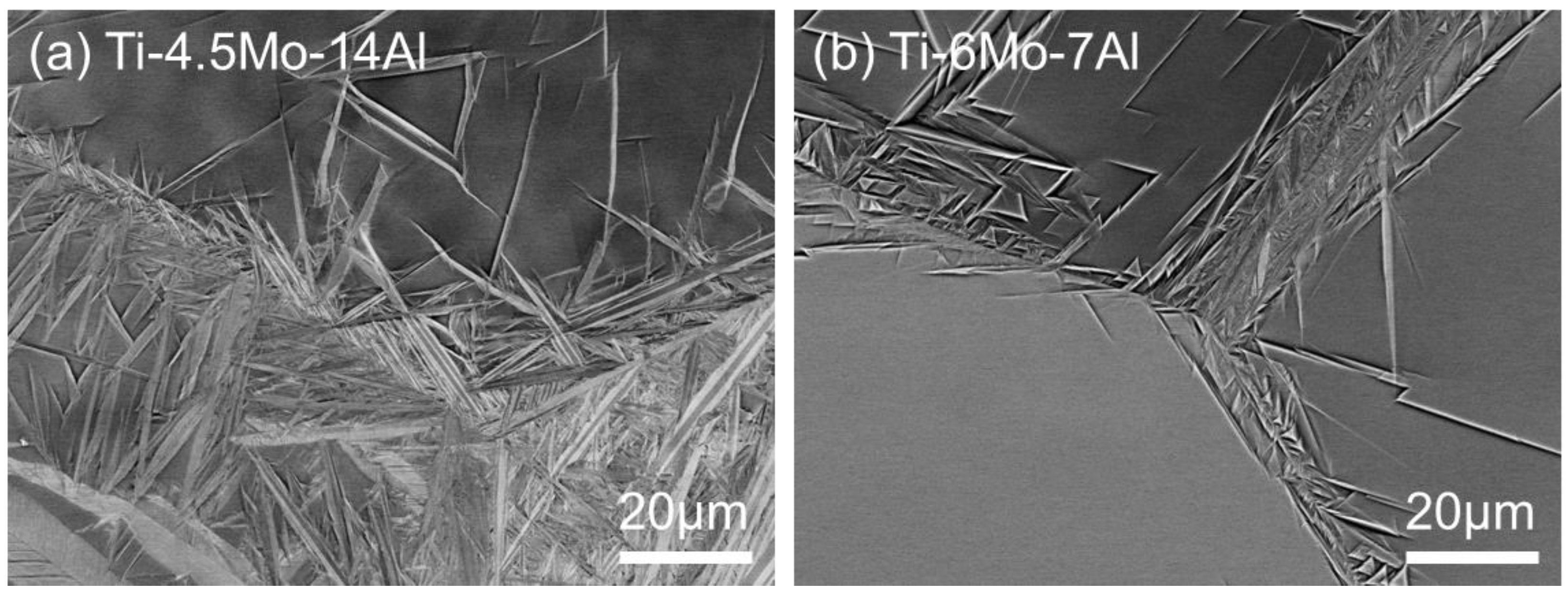 Micro 02 00007 g003 550