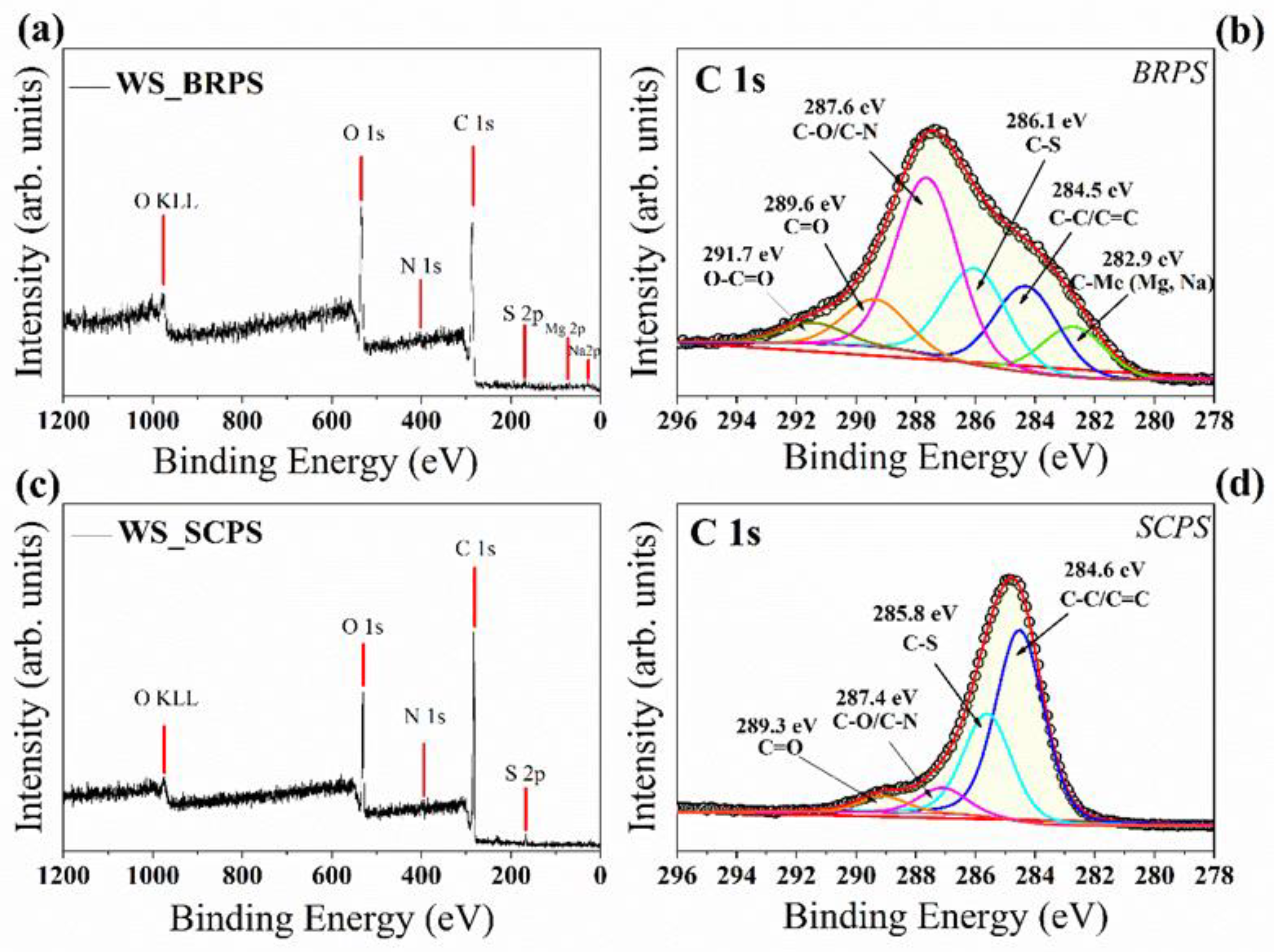 Micro 02 00009 g004 Micro 02 00009 g004