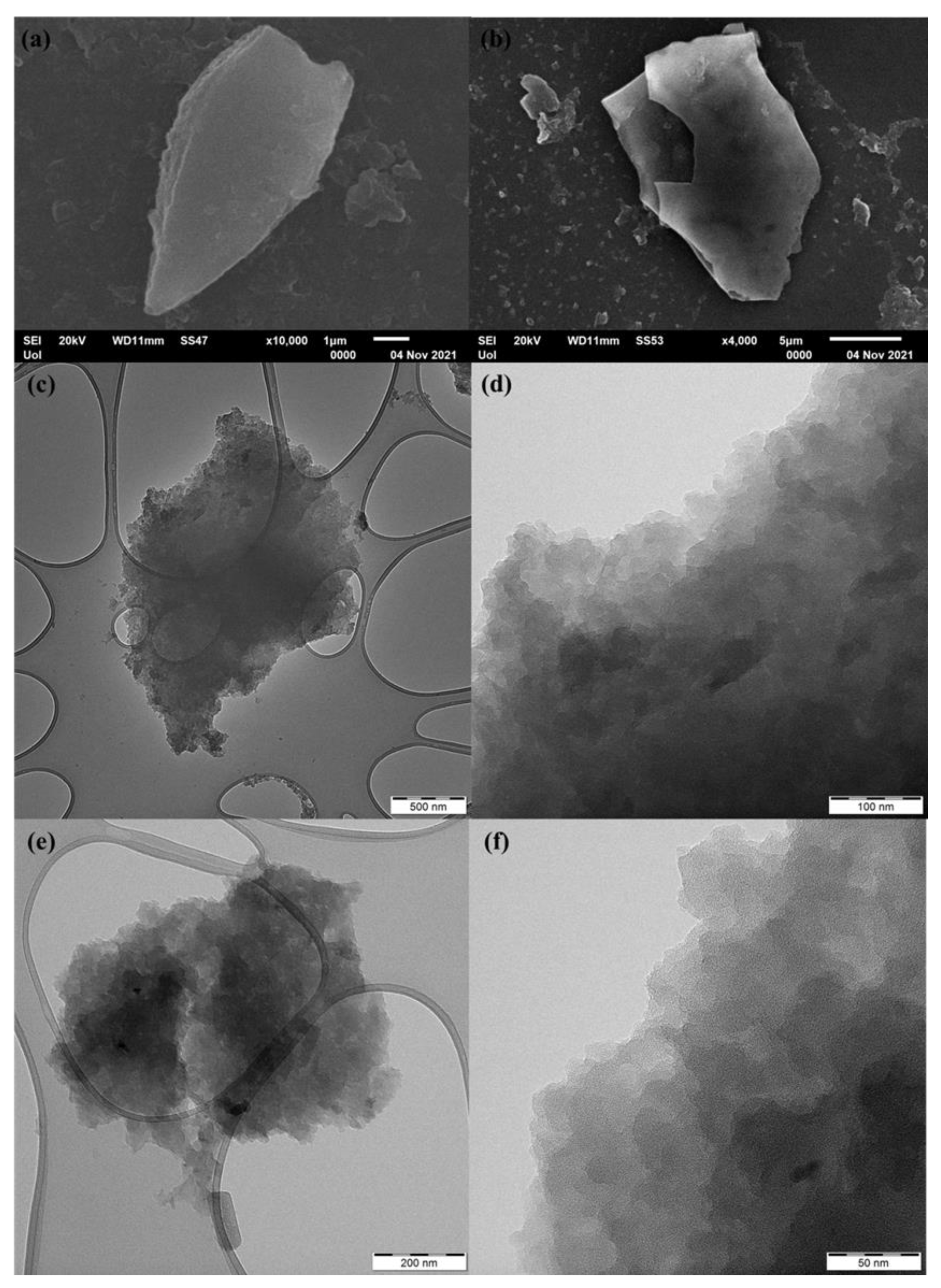 Micro 02 00009 g005 Micro 02 00009 g005