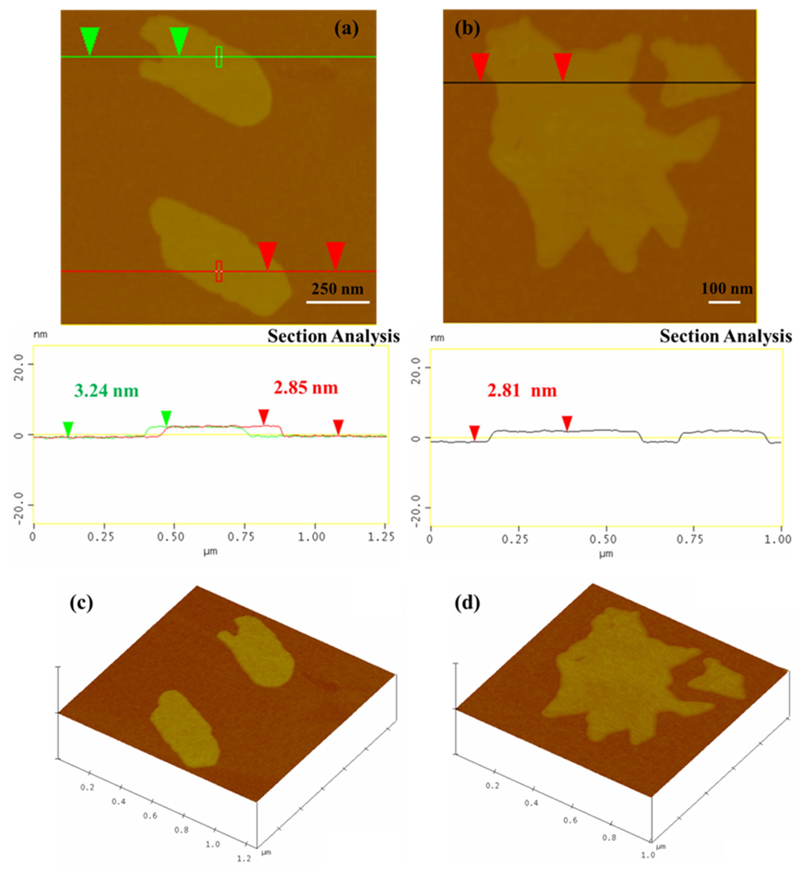 Micro 02 00009 g006 Micro 02 00009 g006